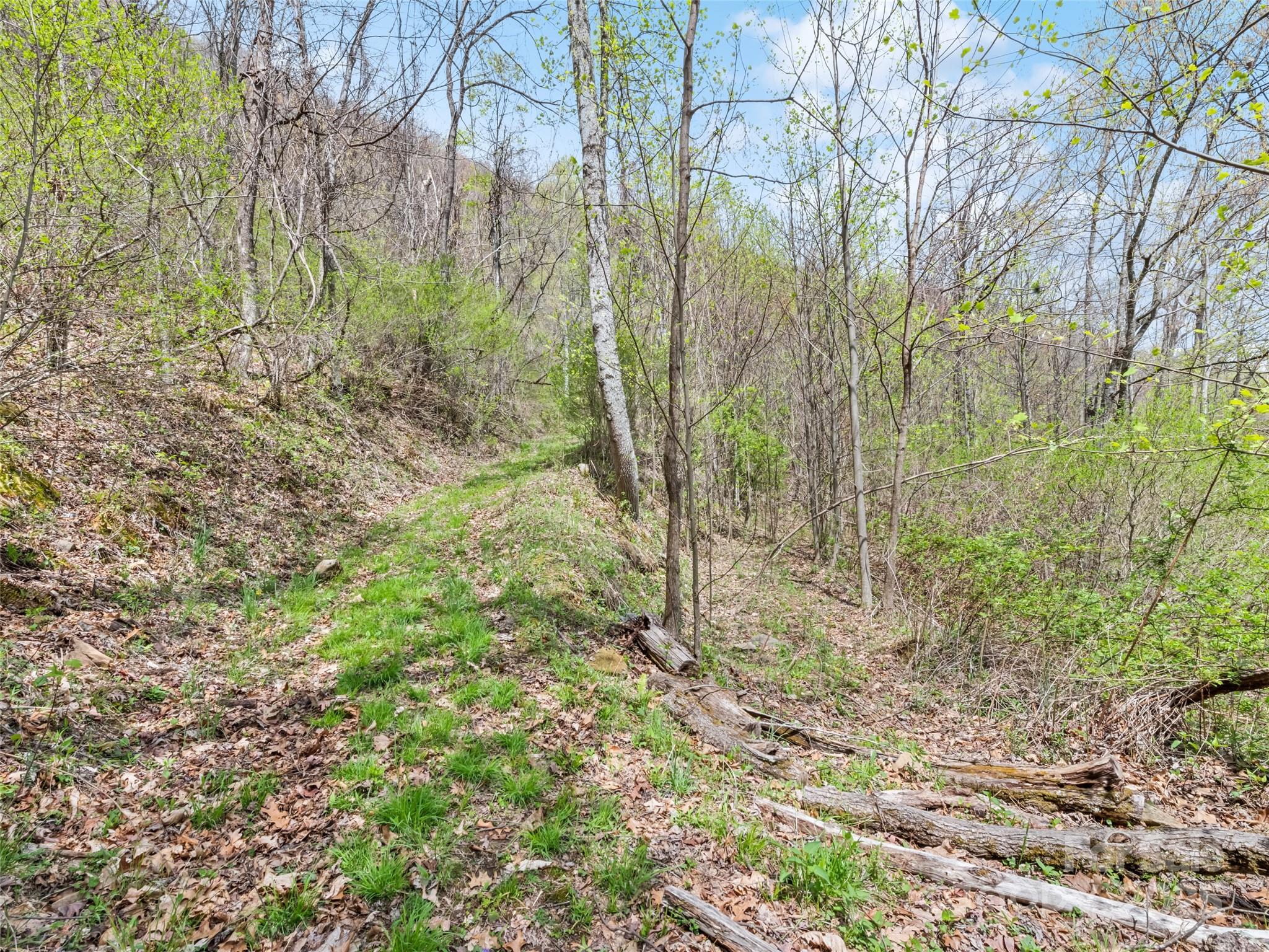 Maggie Valley Country Club Est - Land