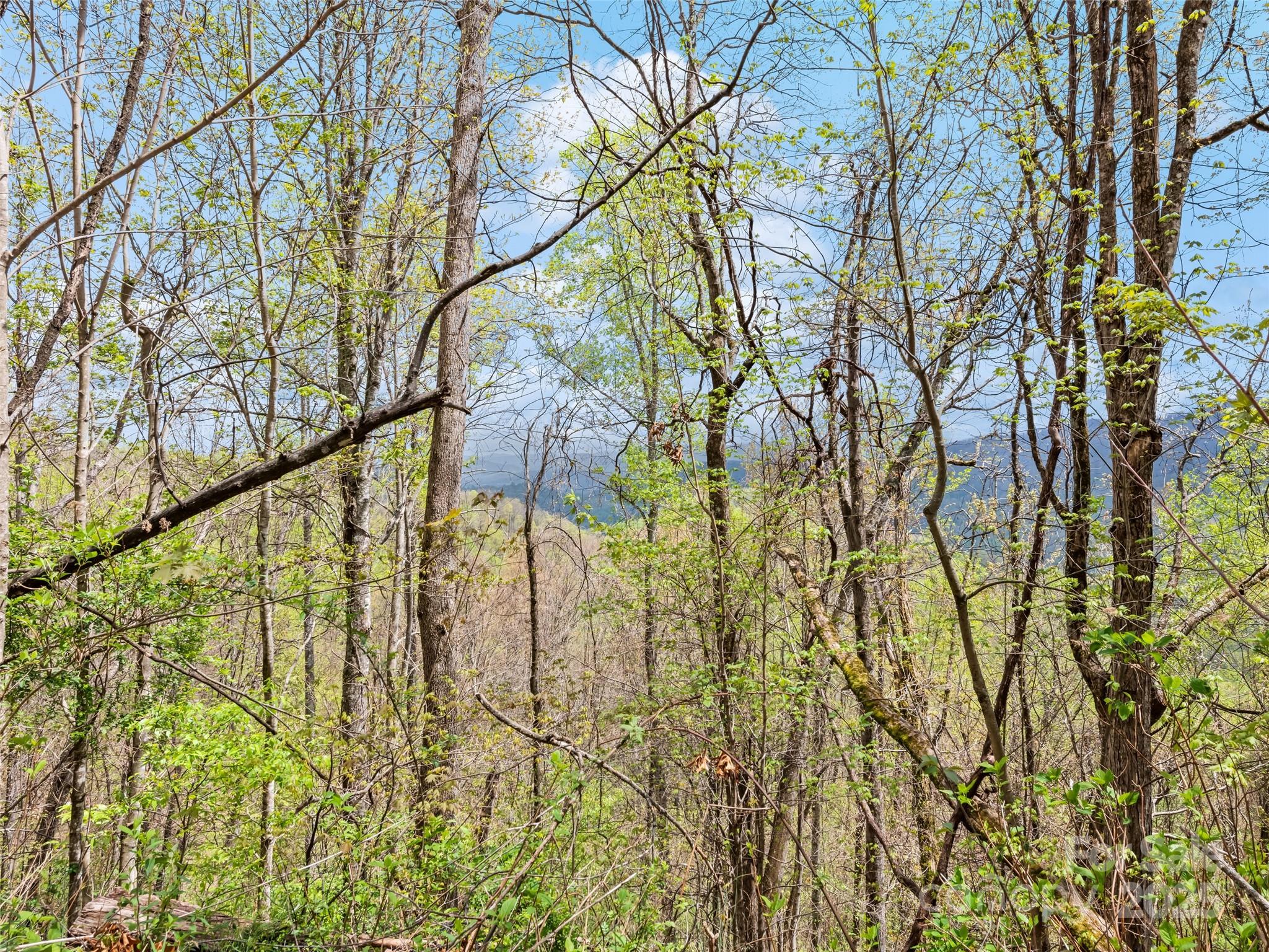 Maggie Valley Country Club Est - Land