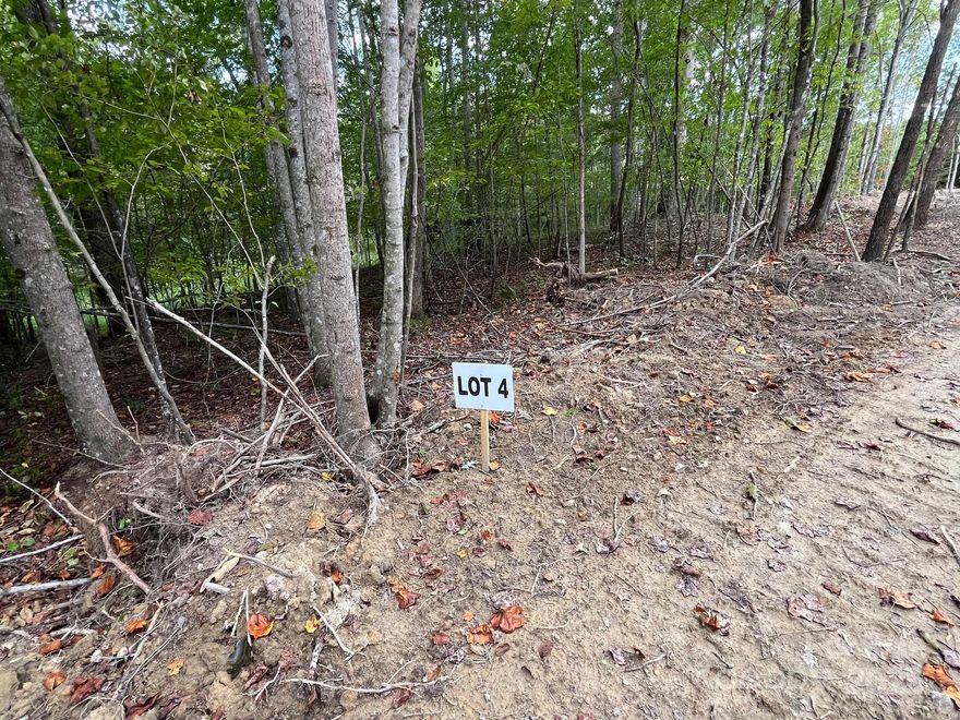 1.92 Acres of Unrestricted Land – Rutherford County
Bring your tiny home, mobile home, camper, or house plans—this 1.92-acre property is a blank canvas ready for your dream home!  Whether you're looking to build, settle in, or invest, this versatile lot has endless potential. Lot has been partially cleared and is ready for you to start building with ease. Well and septic needed.

Opportunities like this don’t come around often—don’t miss your chance to make it yours!
