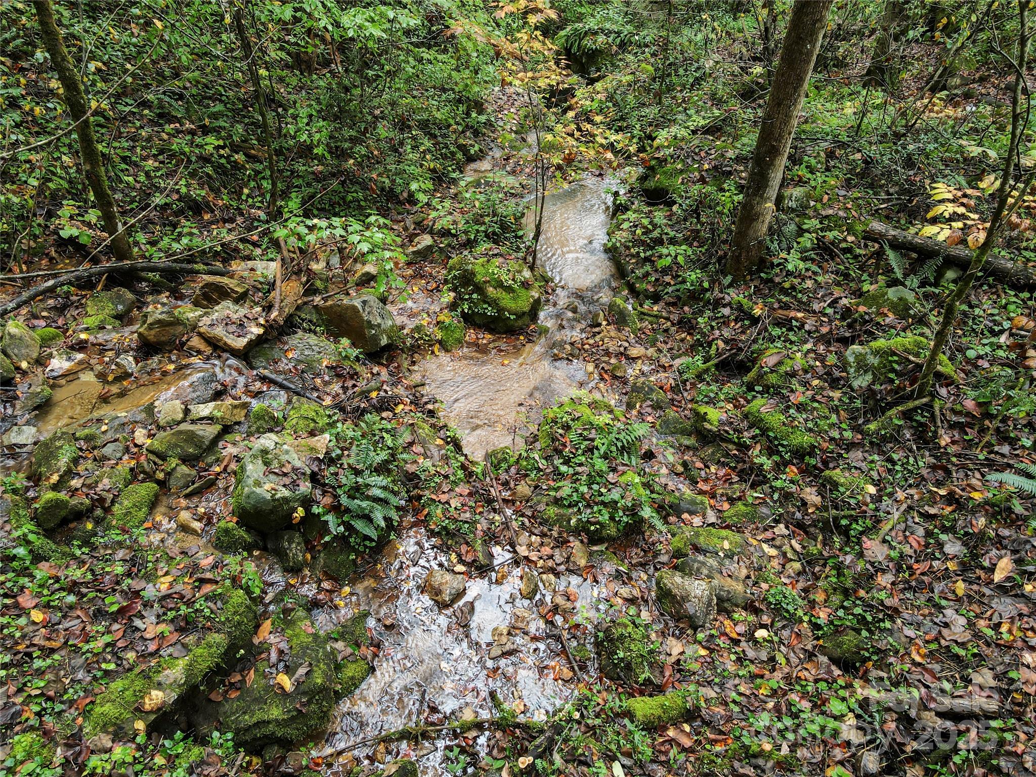 Bear Lake Reserve - Residential