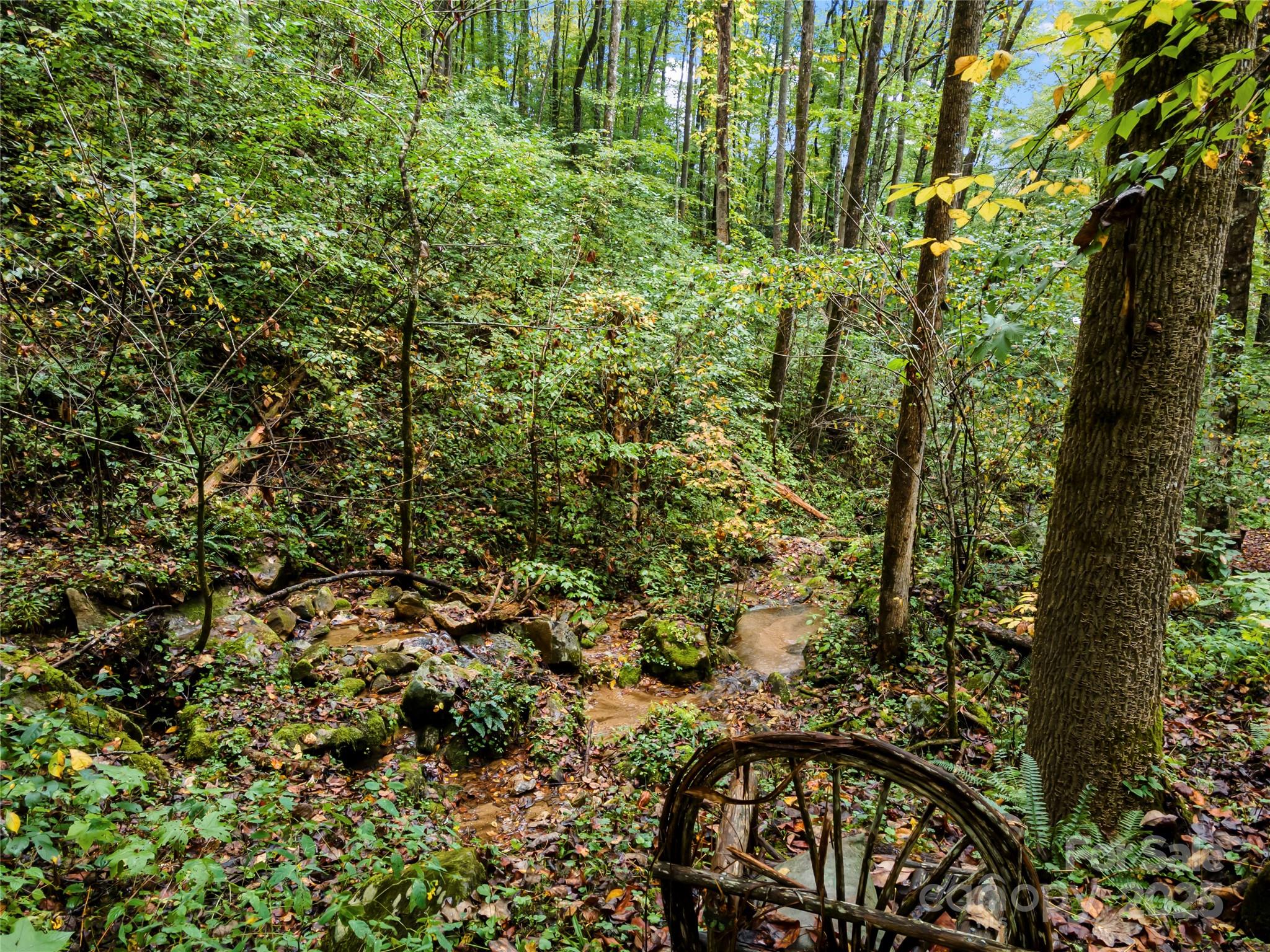 Bear Lake Reserve - Residential