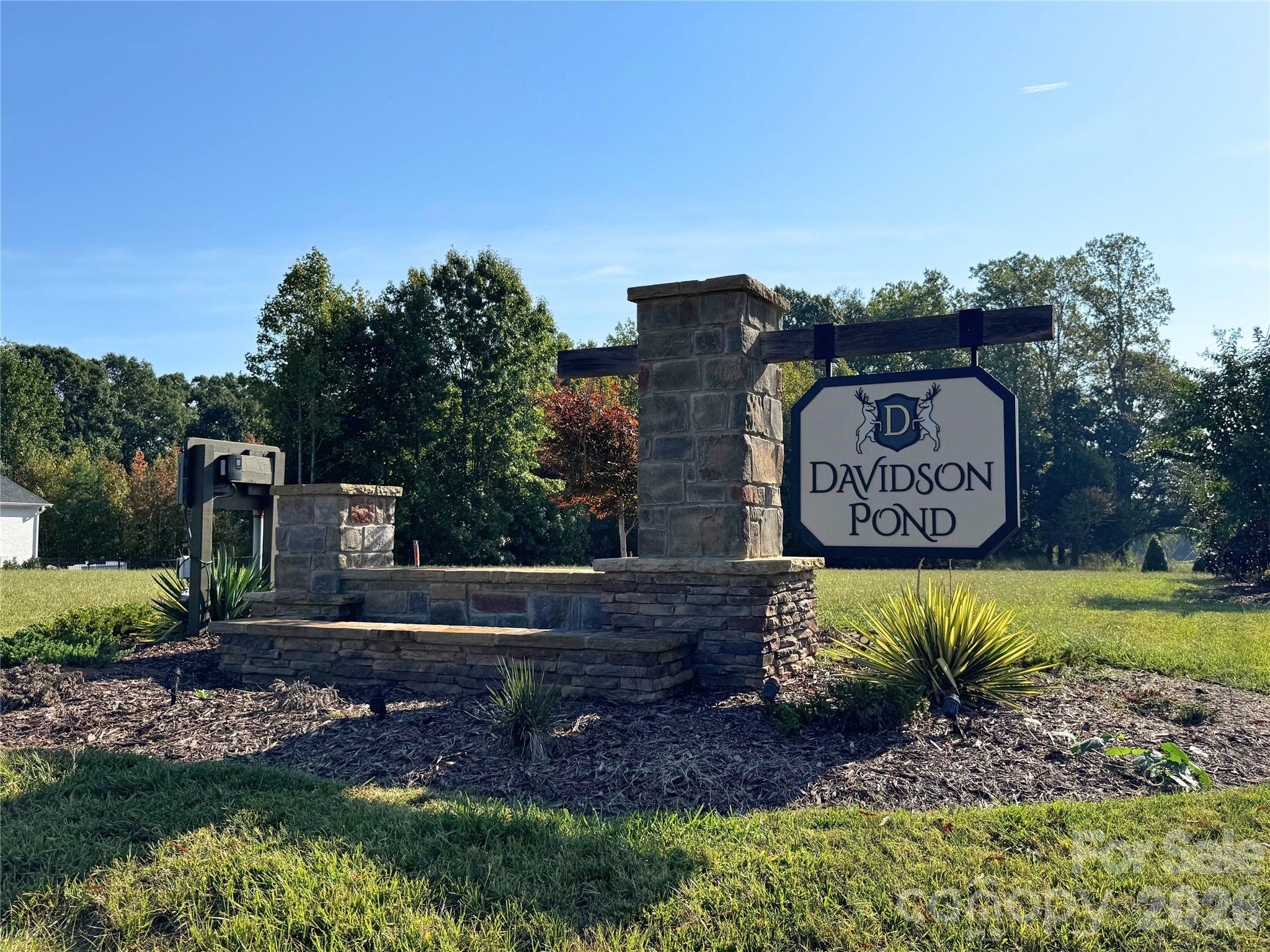 Davidson Pond - Land