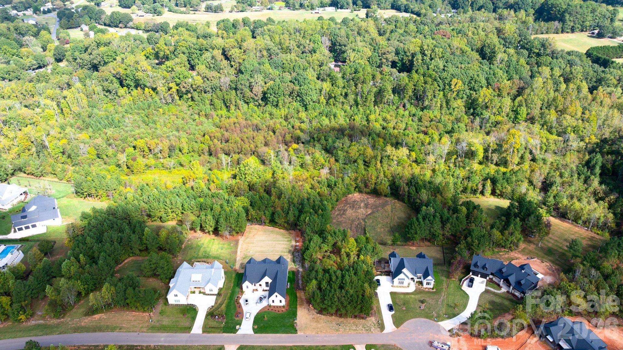 Davidson Pond - Land