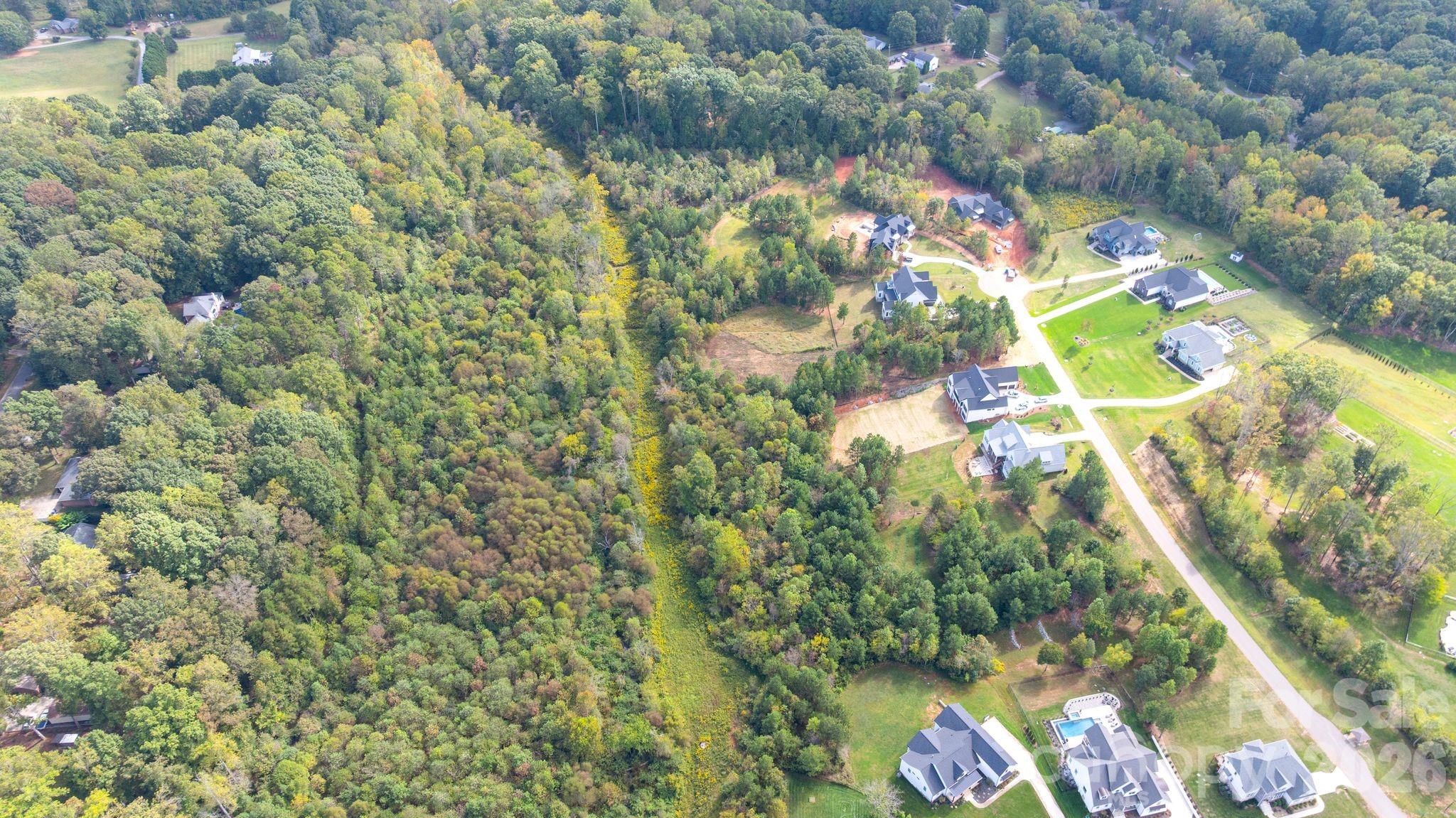 Davidson Pond - Land