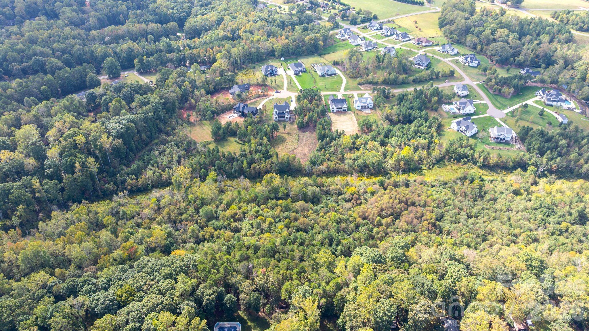 Davidson Pond - Land