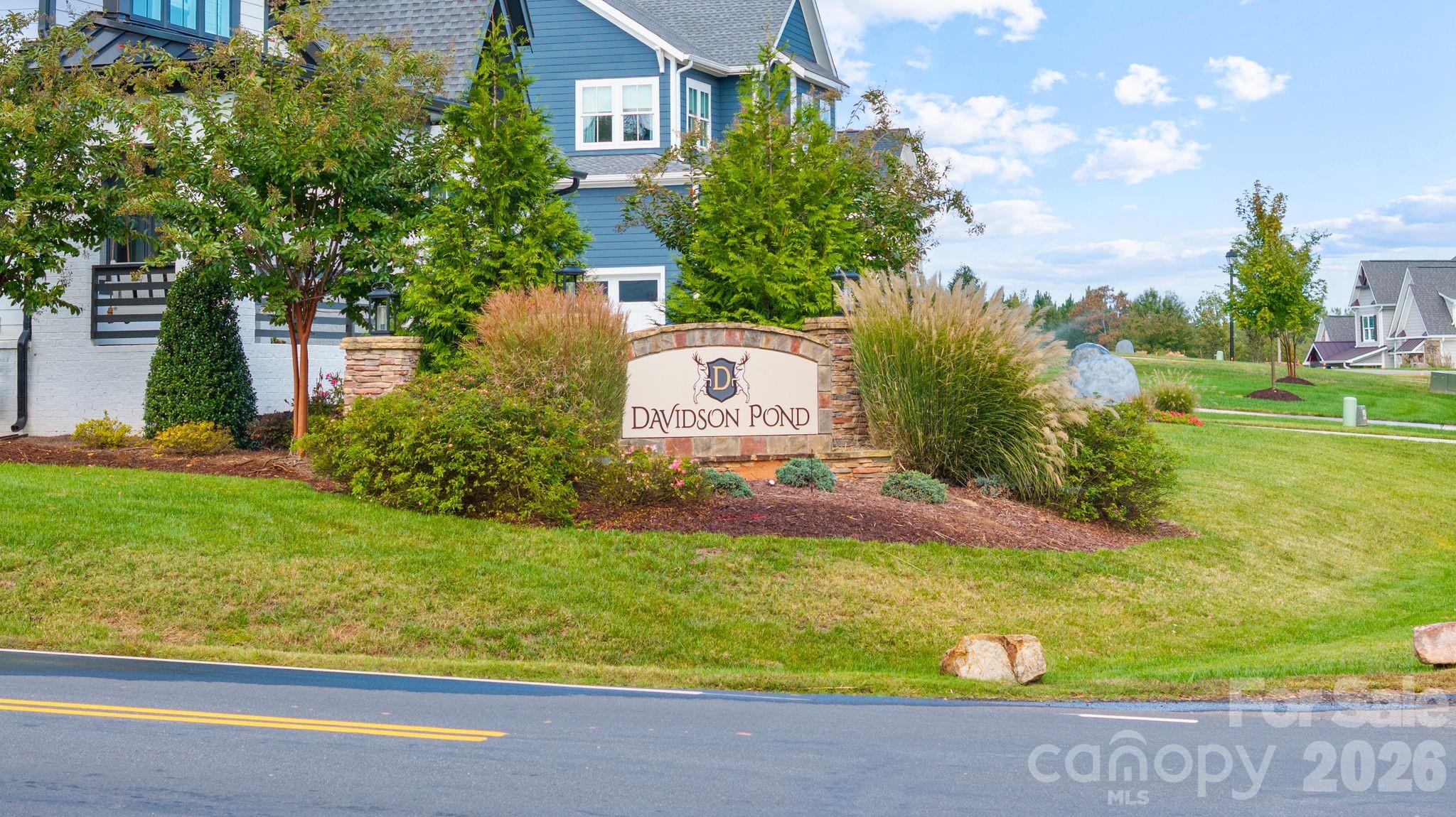 Davidson Pond - Land