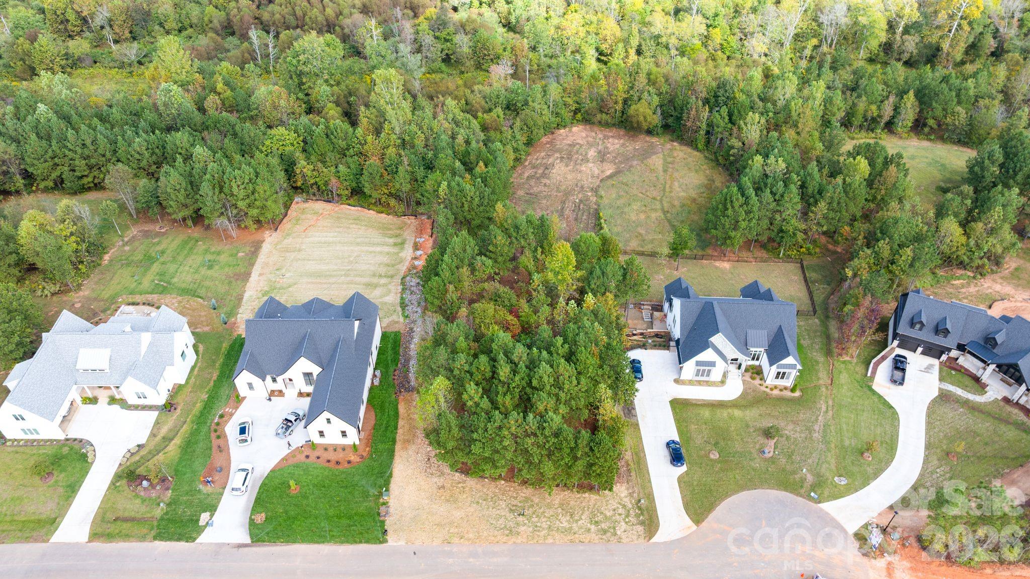 Davidson Pond - Land