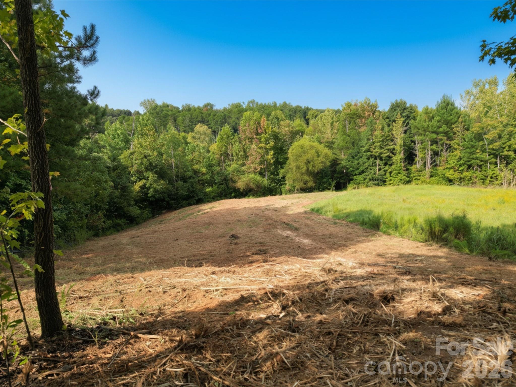 Davidson Pond - Land