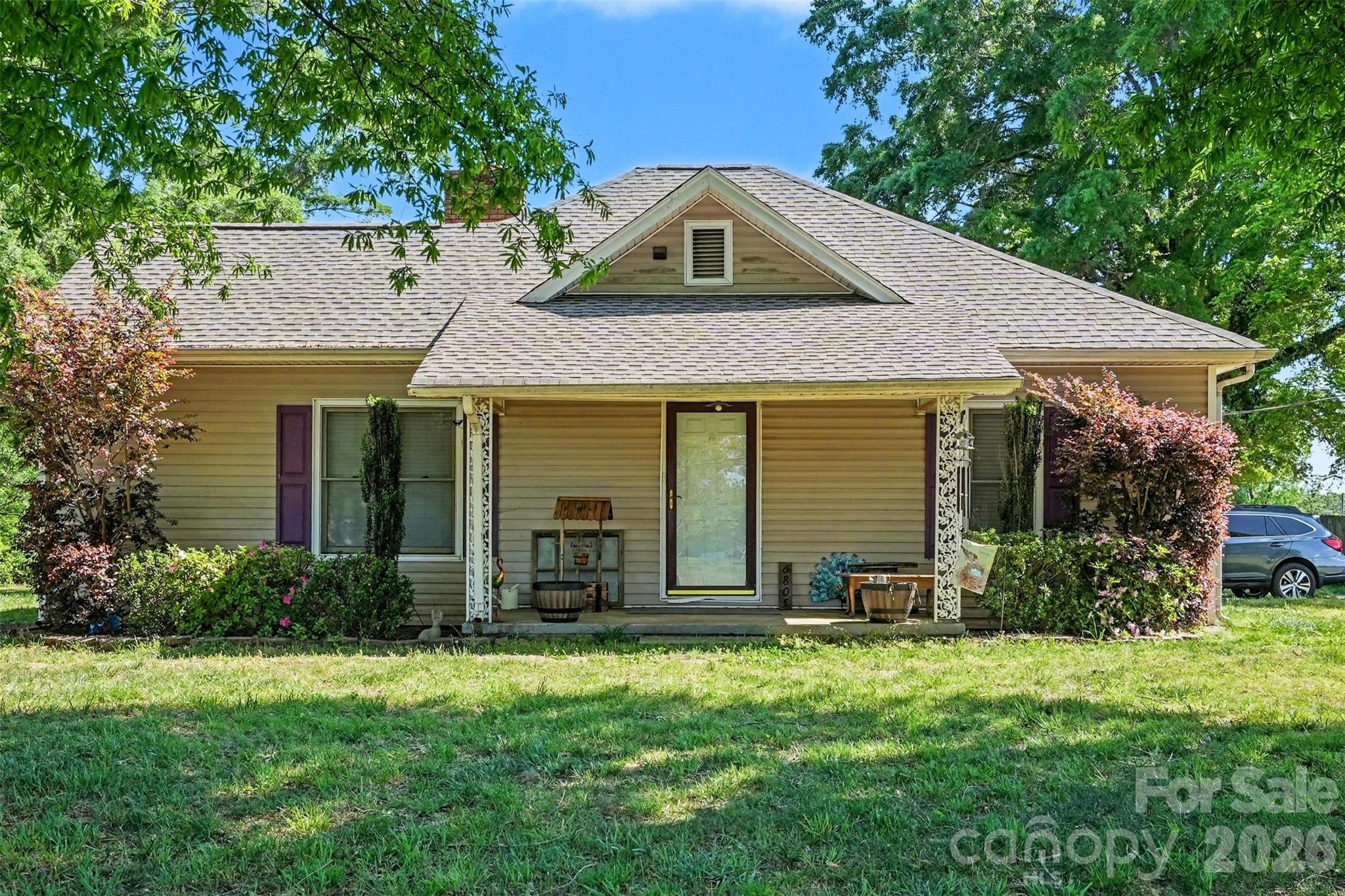 Pine Forest - Residential