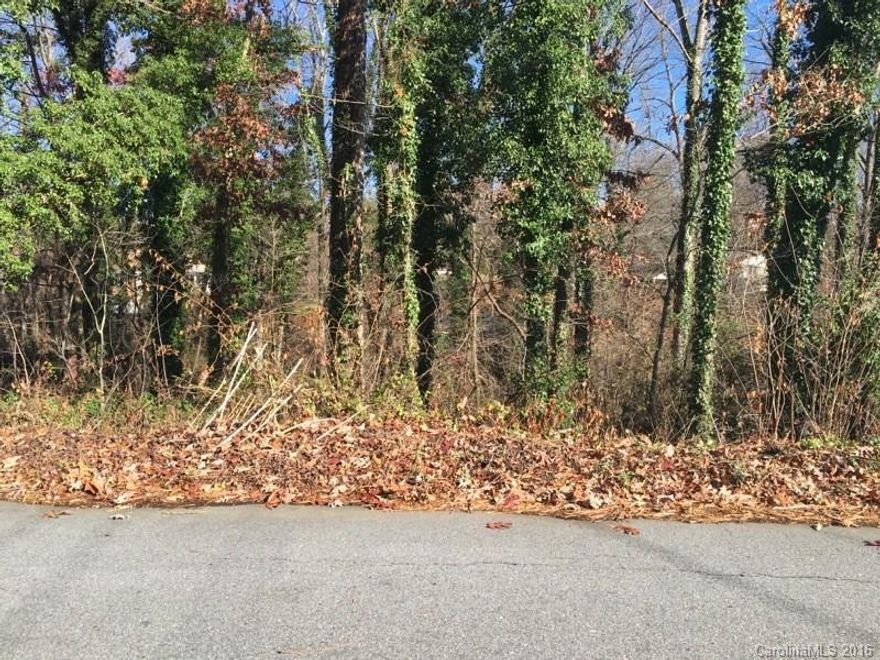 Rare ready to go building lot in convenient Haw Creek location. Gently sloping site with mature trees on quiet road just six minutes to downtown.