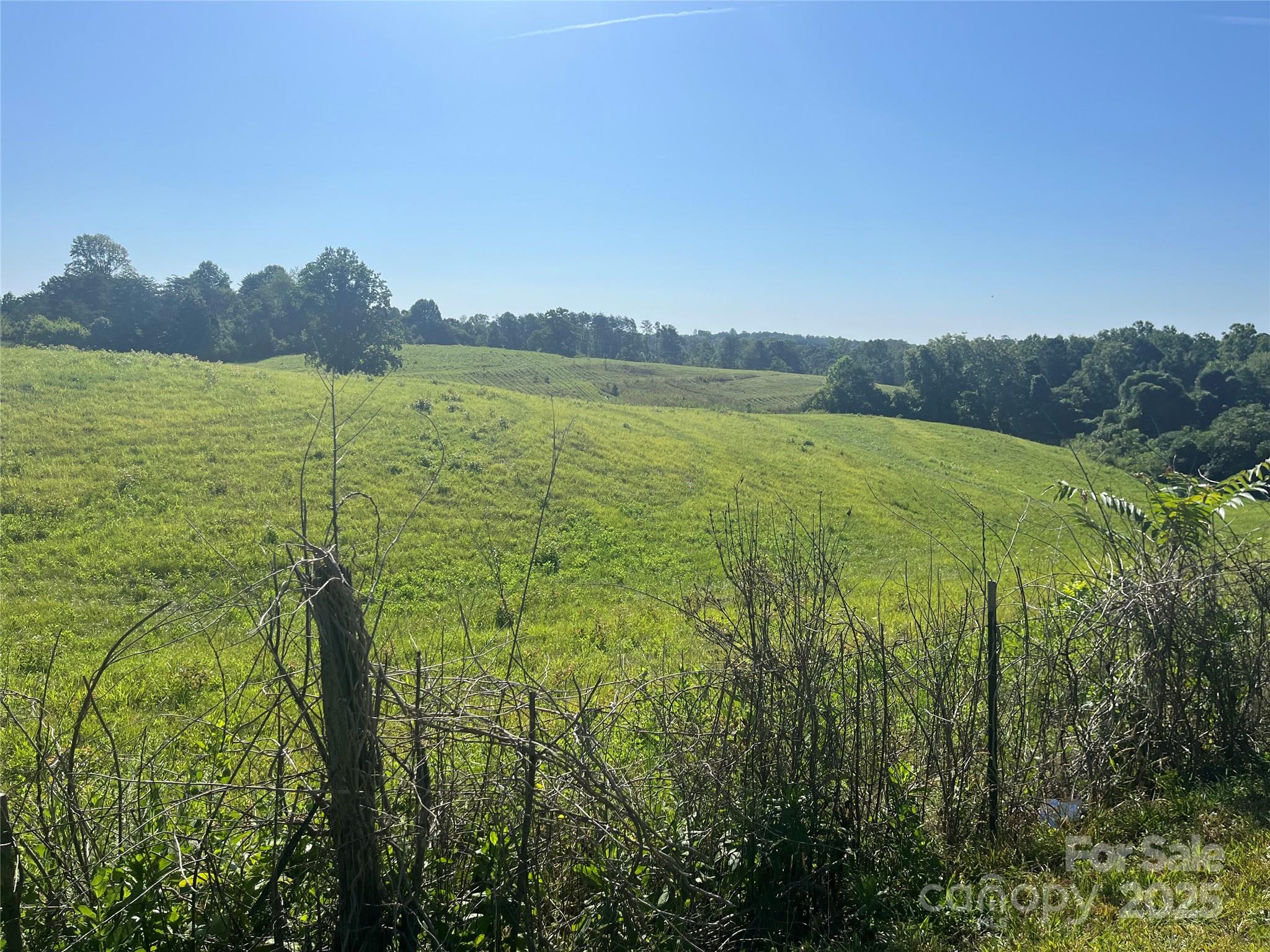 536-2 Pea Ridge Road