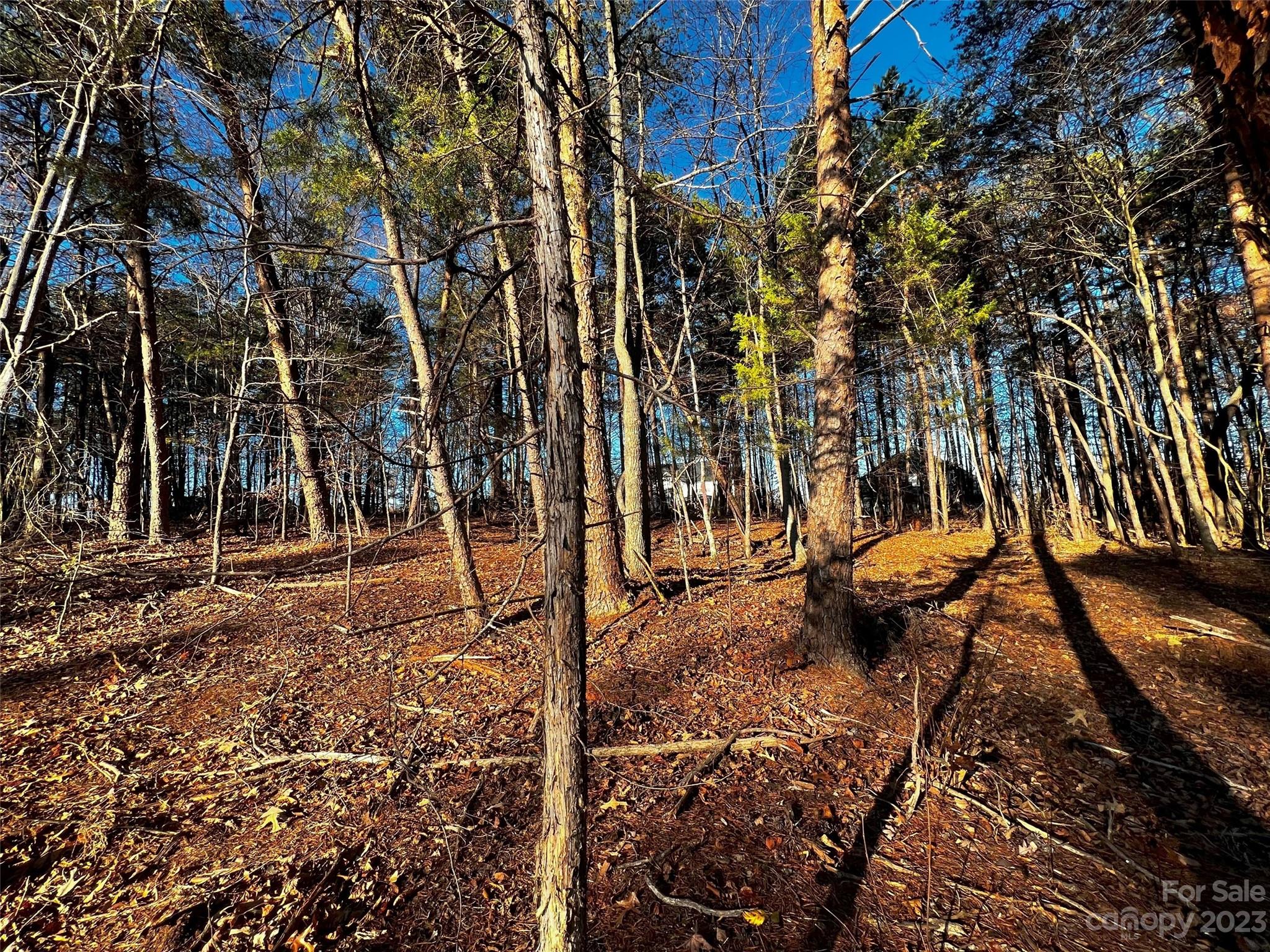 127 Hunt Camp Trail 16