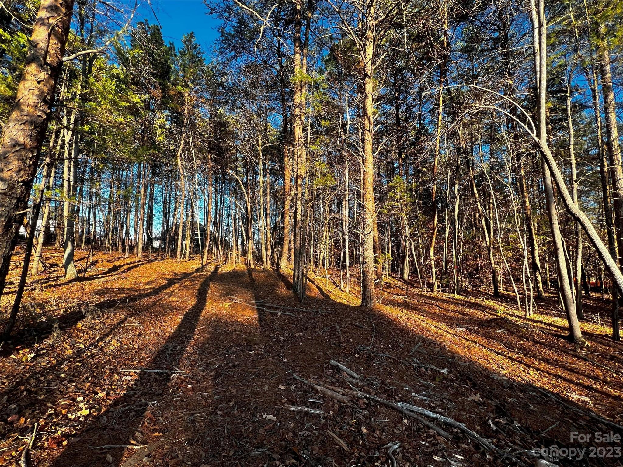 127 Hunt Camp Trail 16