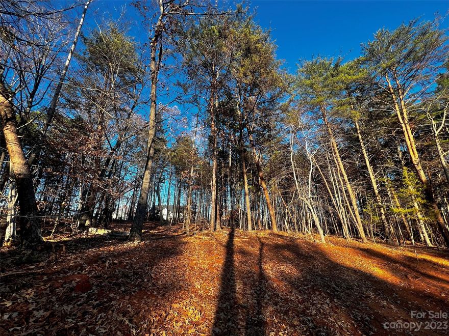 Incredible opportunity to build your DREAM home just minutes from downtown Davidson with low Iredell County taxes in brand-new custom home community, Copper Pine! Estate-sized, wooded homesite with quick access to fabulous boutiques, gourmet restaurants, Village Green Park, and more. A great location for your luxury custom home to be built by repeat "Best of the Lake" winners, AR Homes - Monterey Bay Construction Charlotte. Choose from a wide variety of fully customizable plans, including ranch and 2-story options, or partner with our experienced local team to design and build your one-of-a-kind AR Home, complete with high-end finishes throughout. Call to schedule your personalized design consultation today.