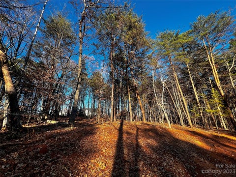 Photo of 127 Hunt Camp Trail #16, Davidson, NC 28036 (MLS # 4101848)