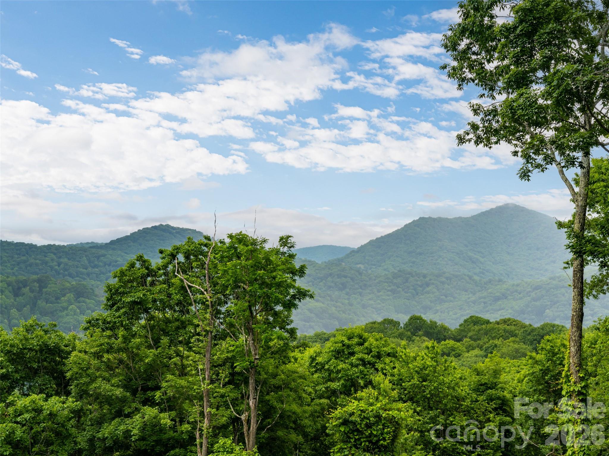 243 Pioneer Ridge Road