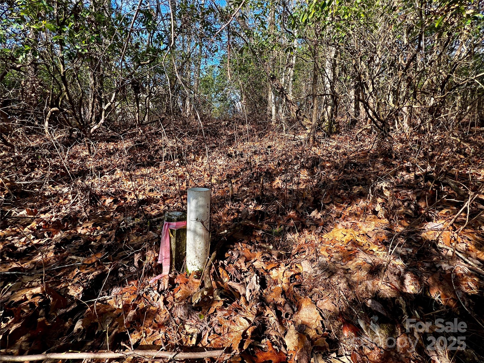 Whiskey Creek II - Land