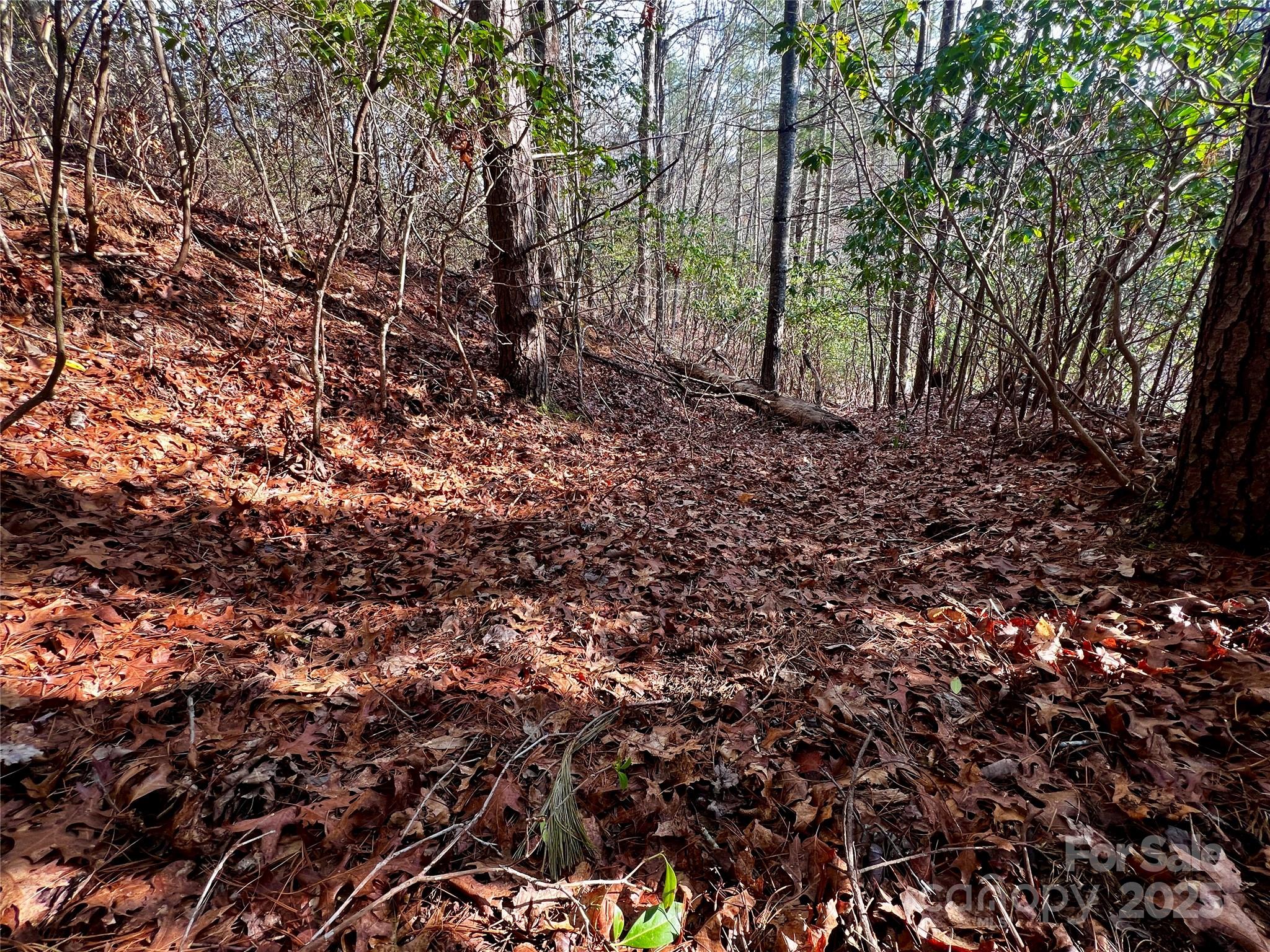 Whiskey Creek II - Land