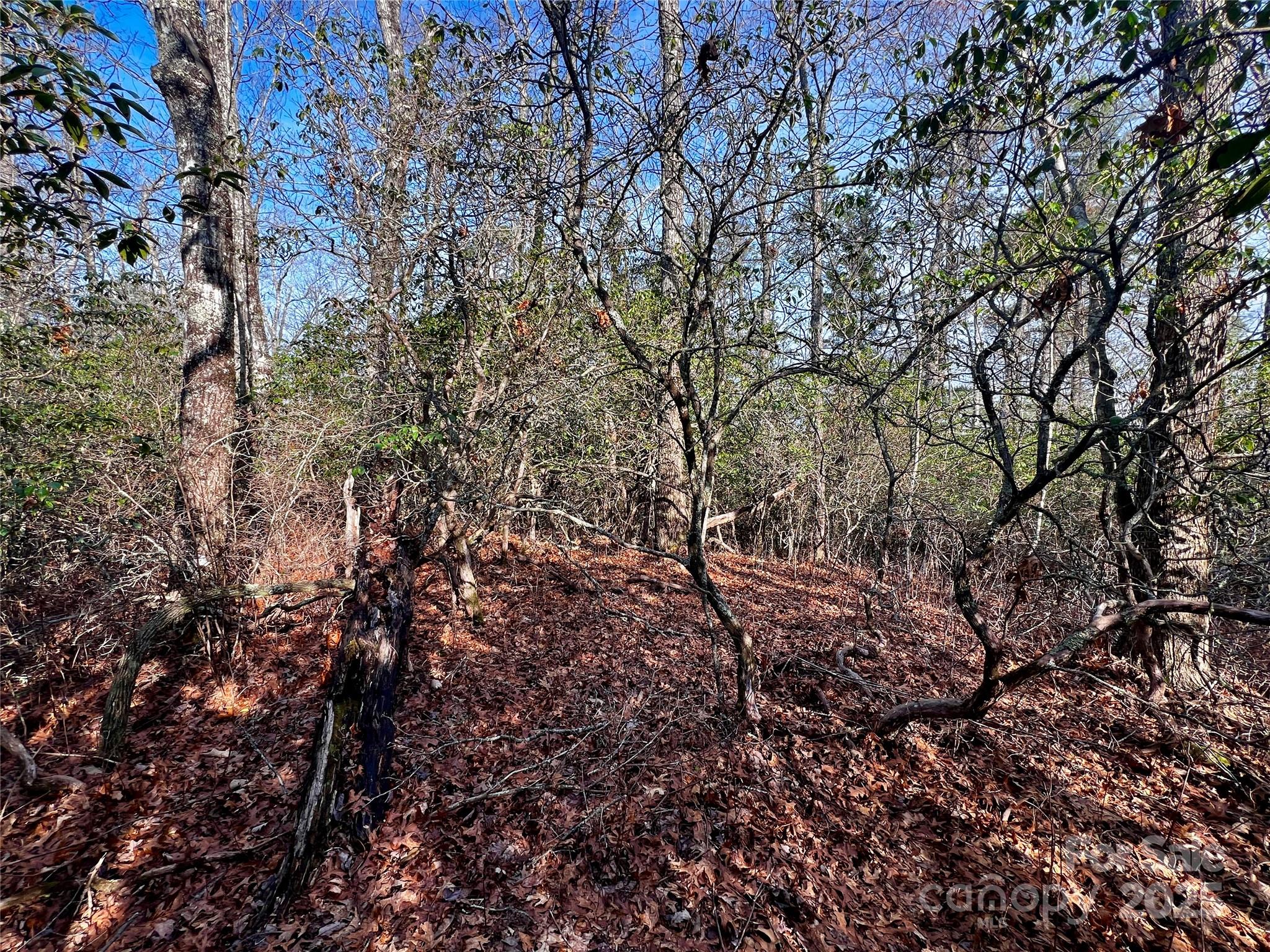 Whiskey Creek II - Land