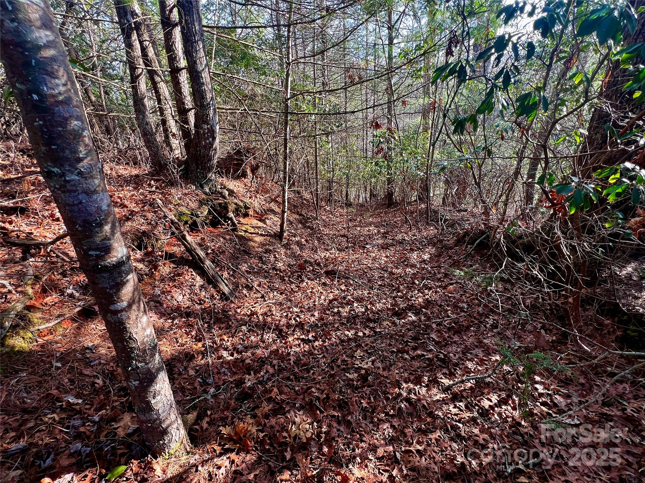 Whiskey Creek II - Land