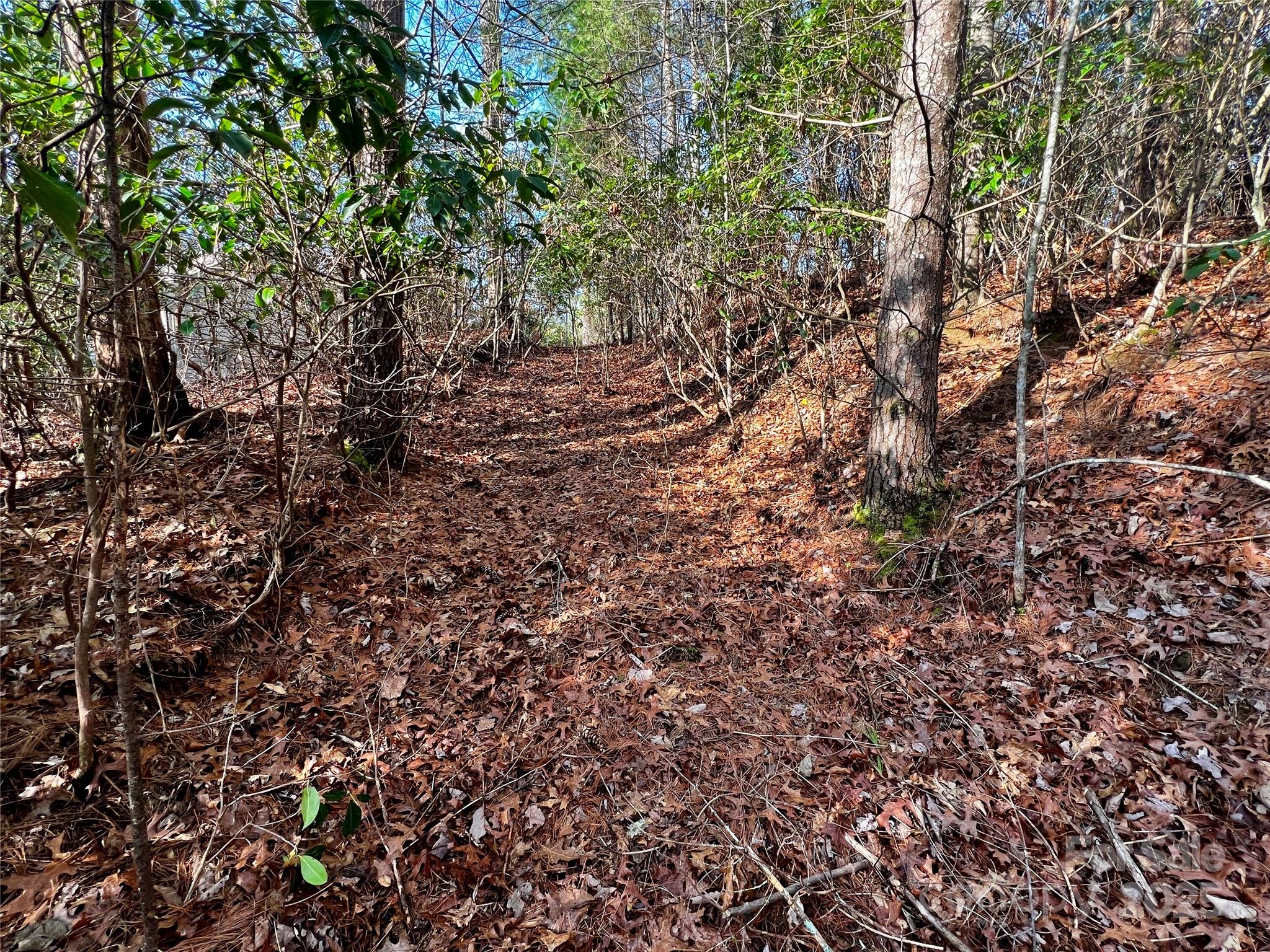 Whiskey Creek II - Land