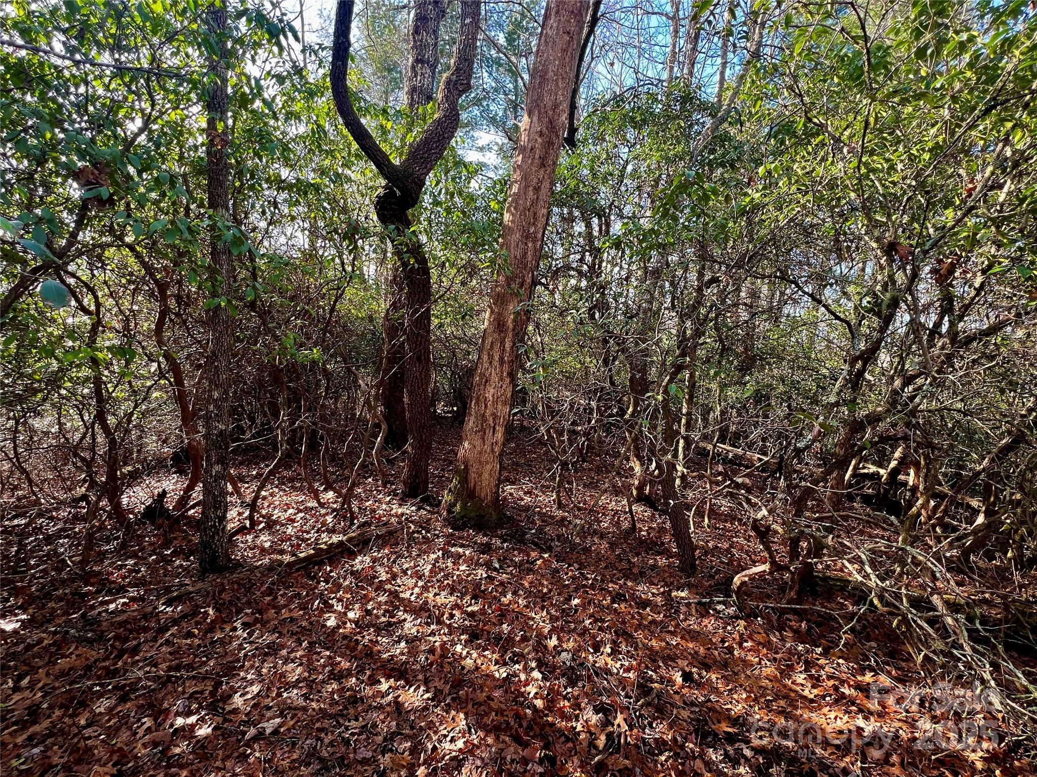 Whiskey Creek II - Land