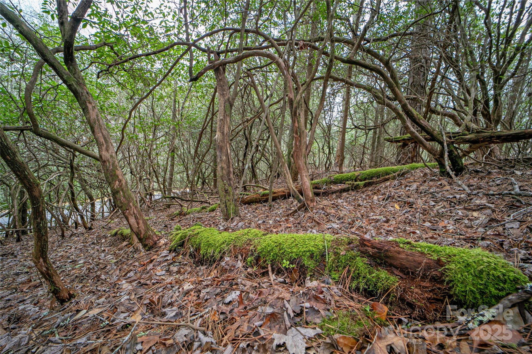 Lot 131 Thunder Road