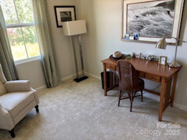 Bear Park - Residential