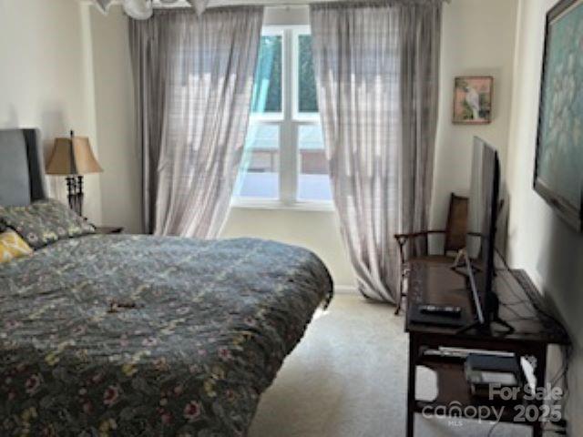 Bear Park - Residential