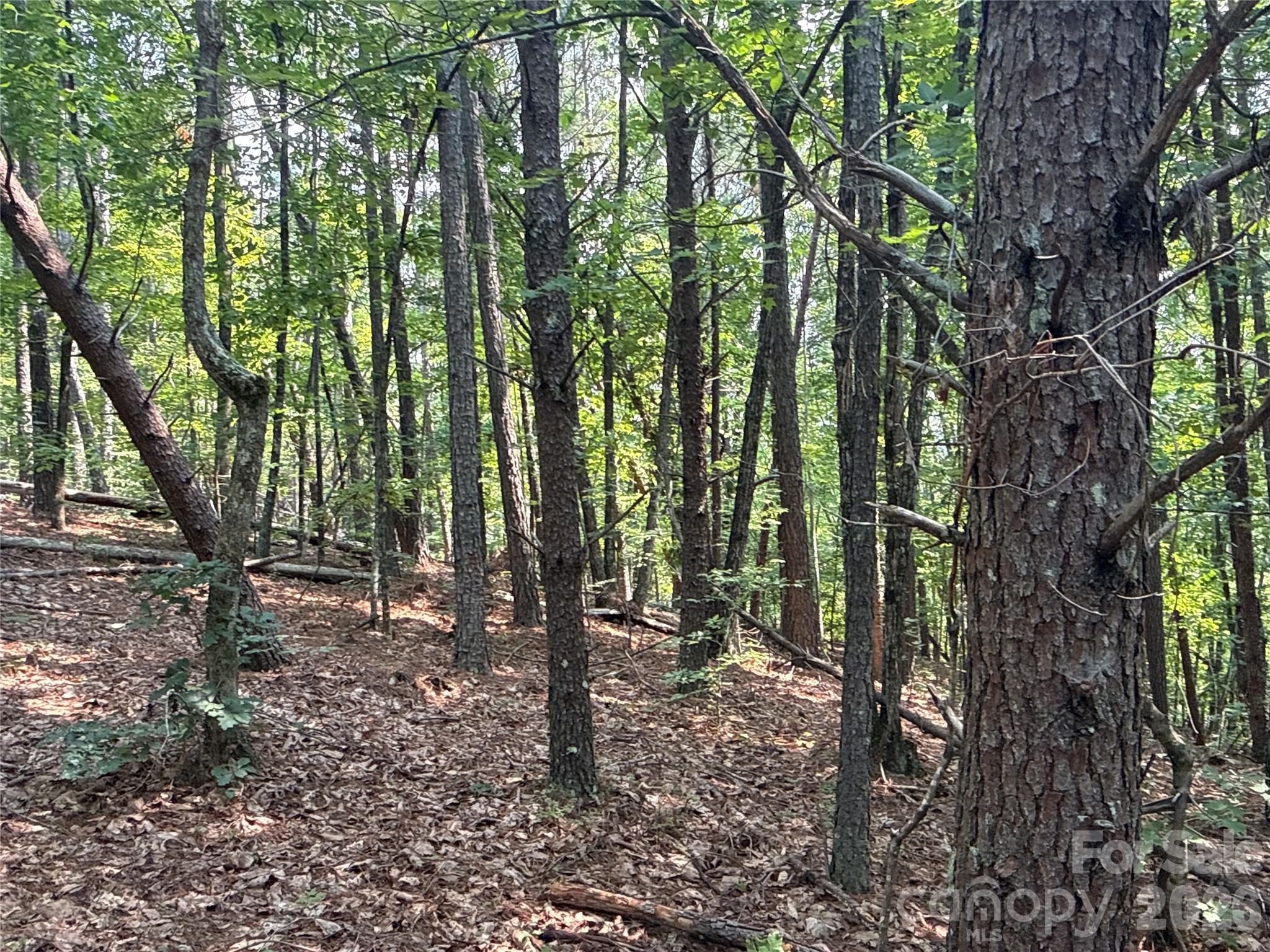 242 Golden Creek Ridge