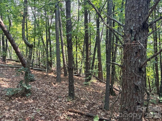 242 GOLDEN CREEK RDG, UNION MILLS, NC 28167 - Image d30f3418ee5ad77e721b4e5d171f1ccf/28152797