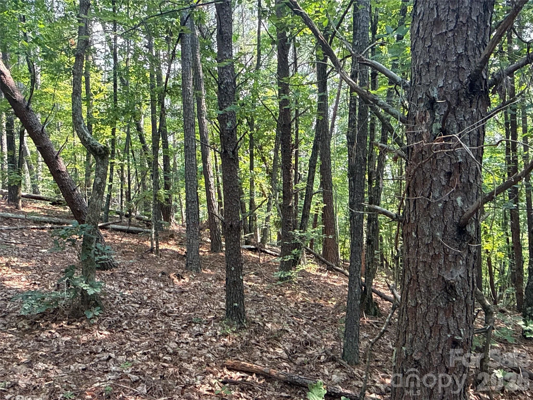242 Golden Creek Ridge, Union Mills, NC, 28167