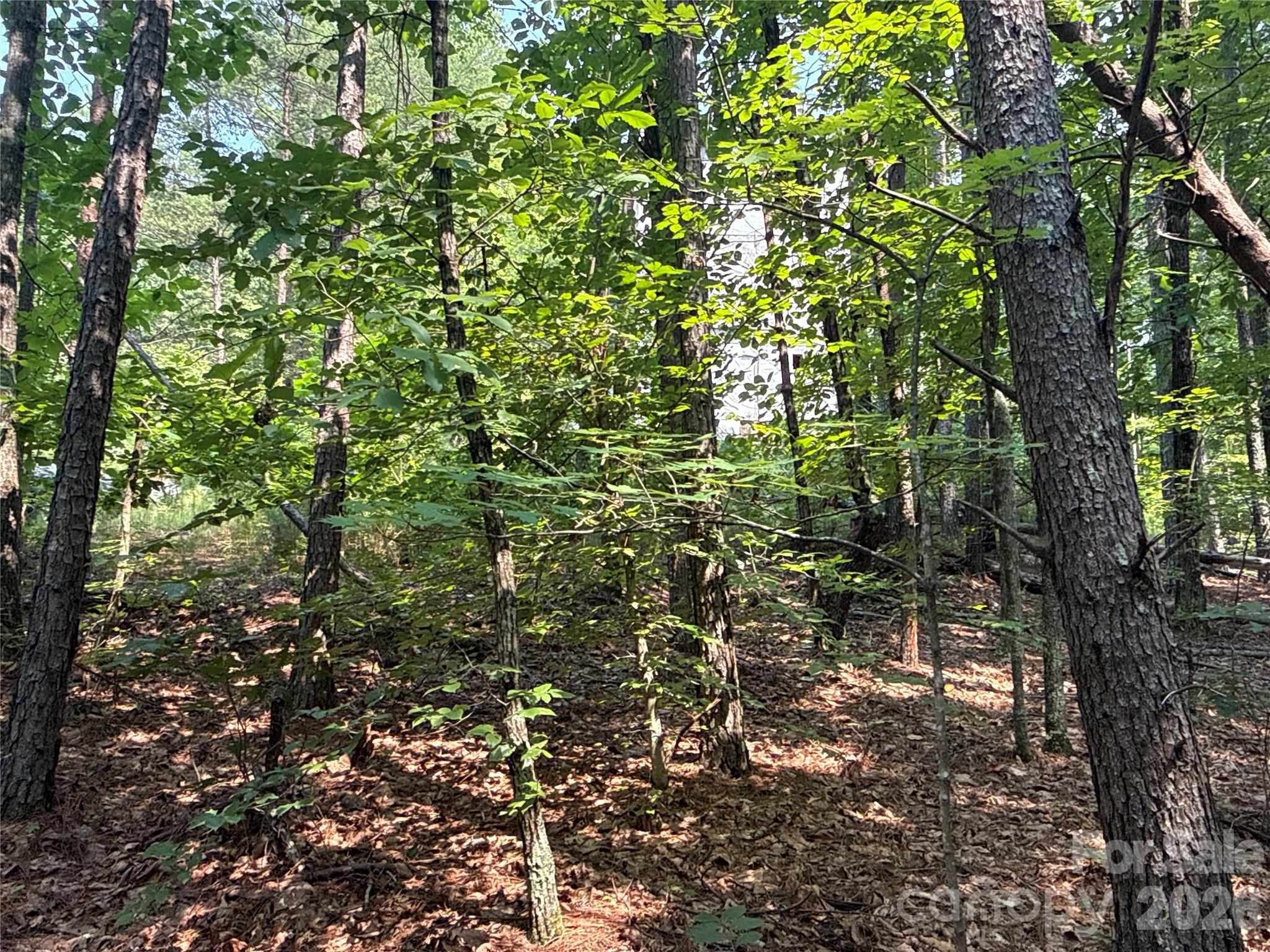 242 Golden Creek Ridge