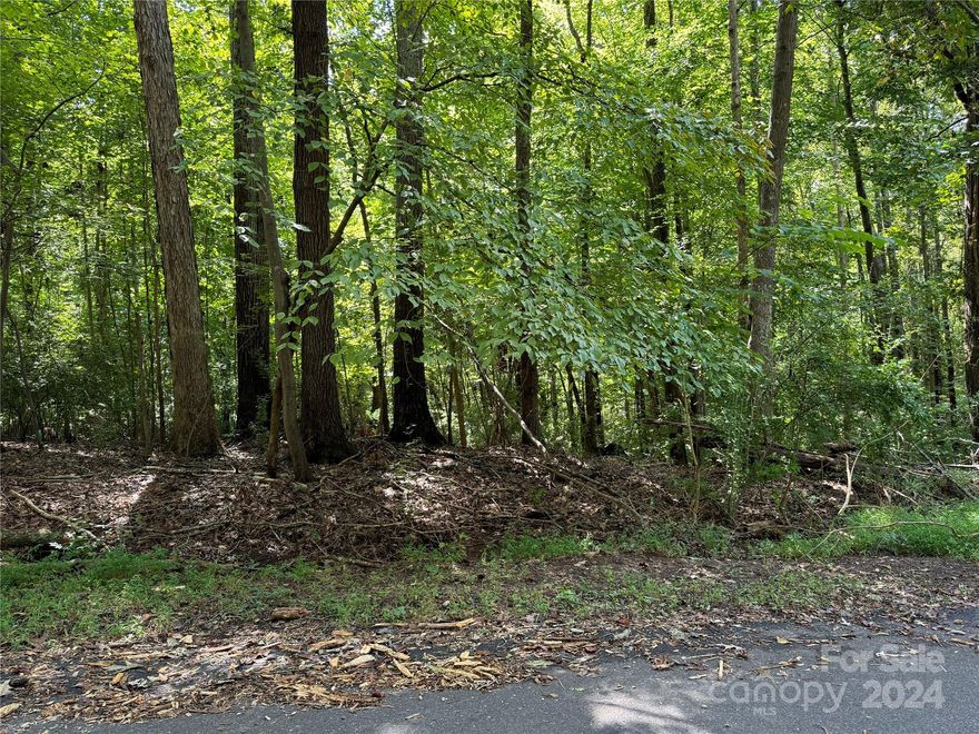 Vacant Building Lot. Waiting on City of York to verify City water and sewer availability and minimum square footage to build.