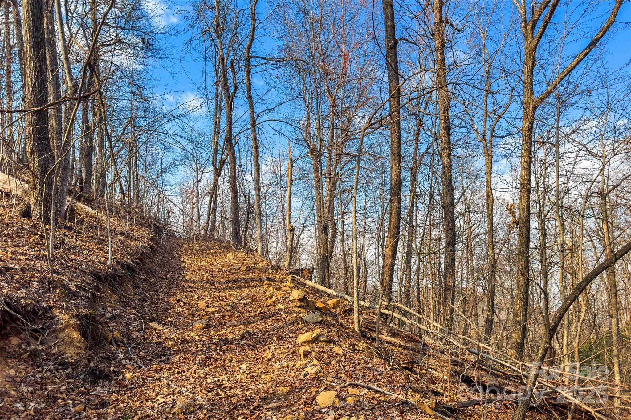 Lot 224 Cumberland Falls Trail 224
