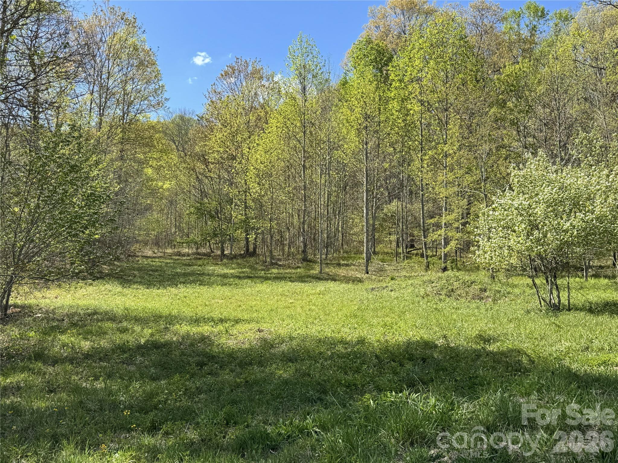 Elk Creek Mountain - Land