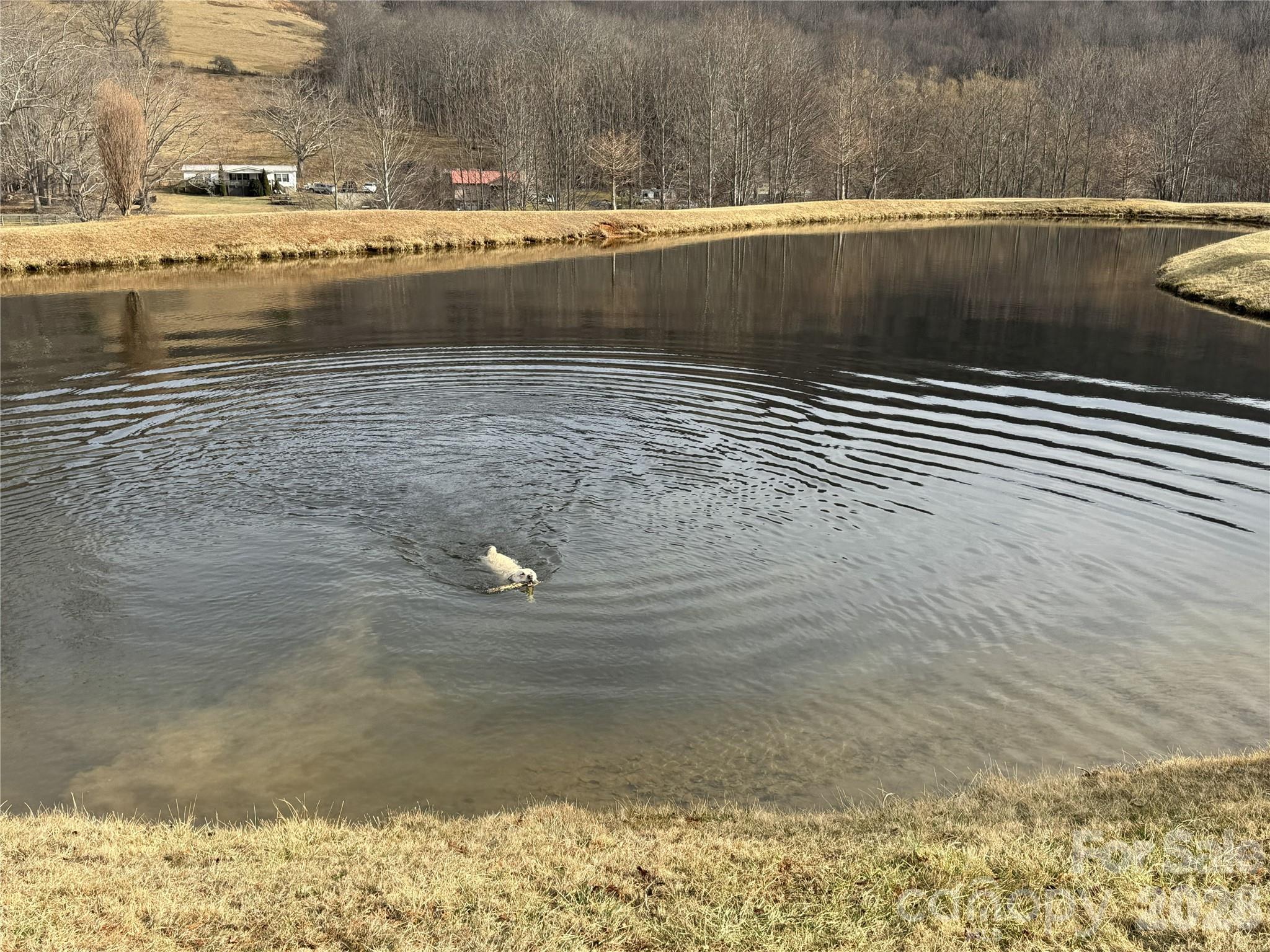 Elk Creek Mountain - Land