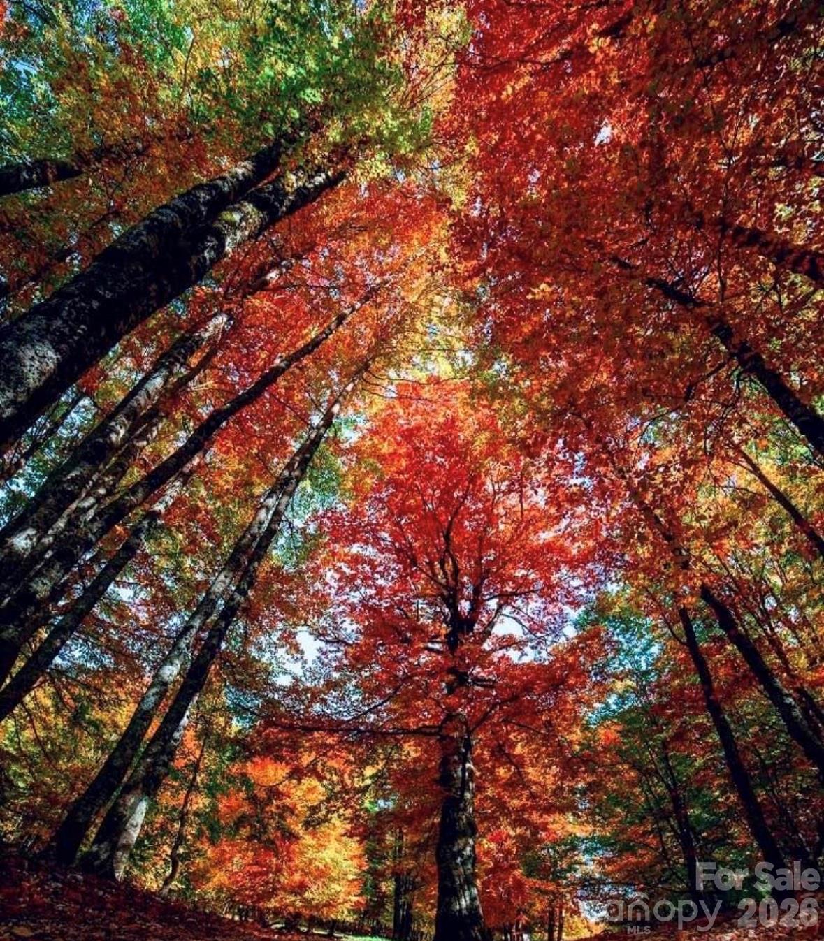 Fairview Forest - Residential