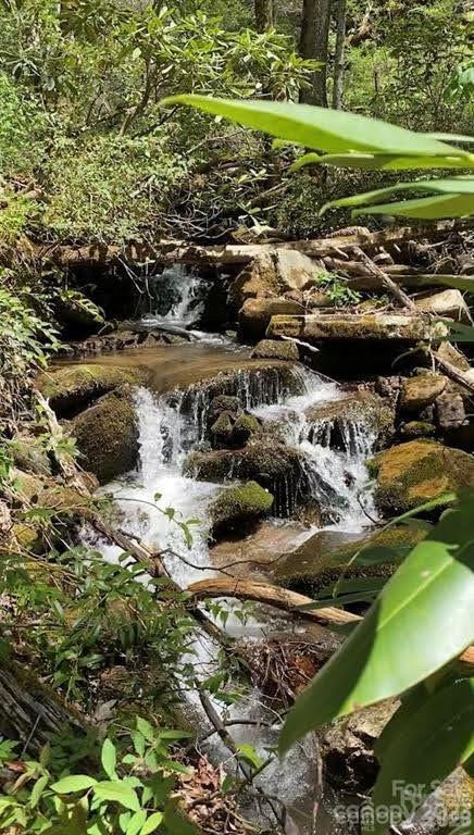 Fairview Forest - Residential