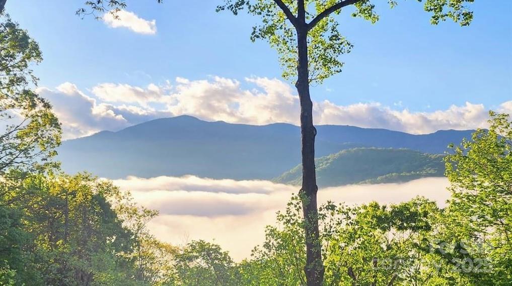 Wildwood Acres - Land