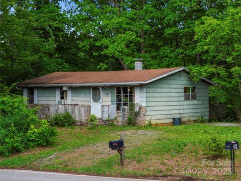 256 Goughes Branch Road Leicester NC 28748
