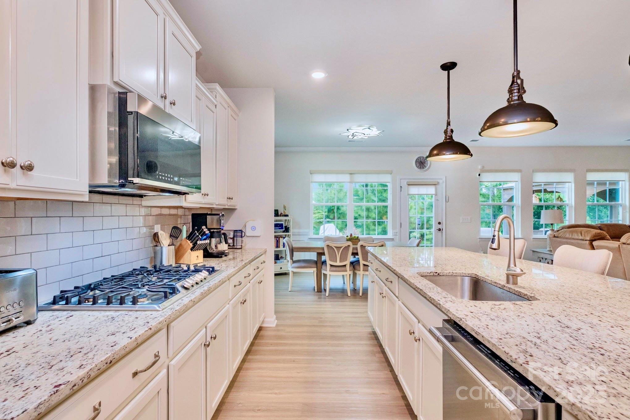 Imagery On Mtn Island - Residential