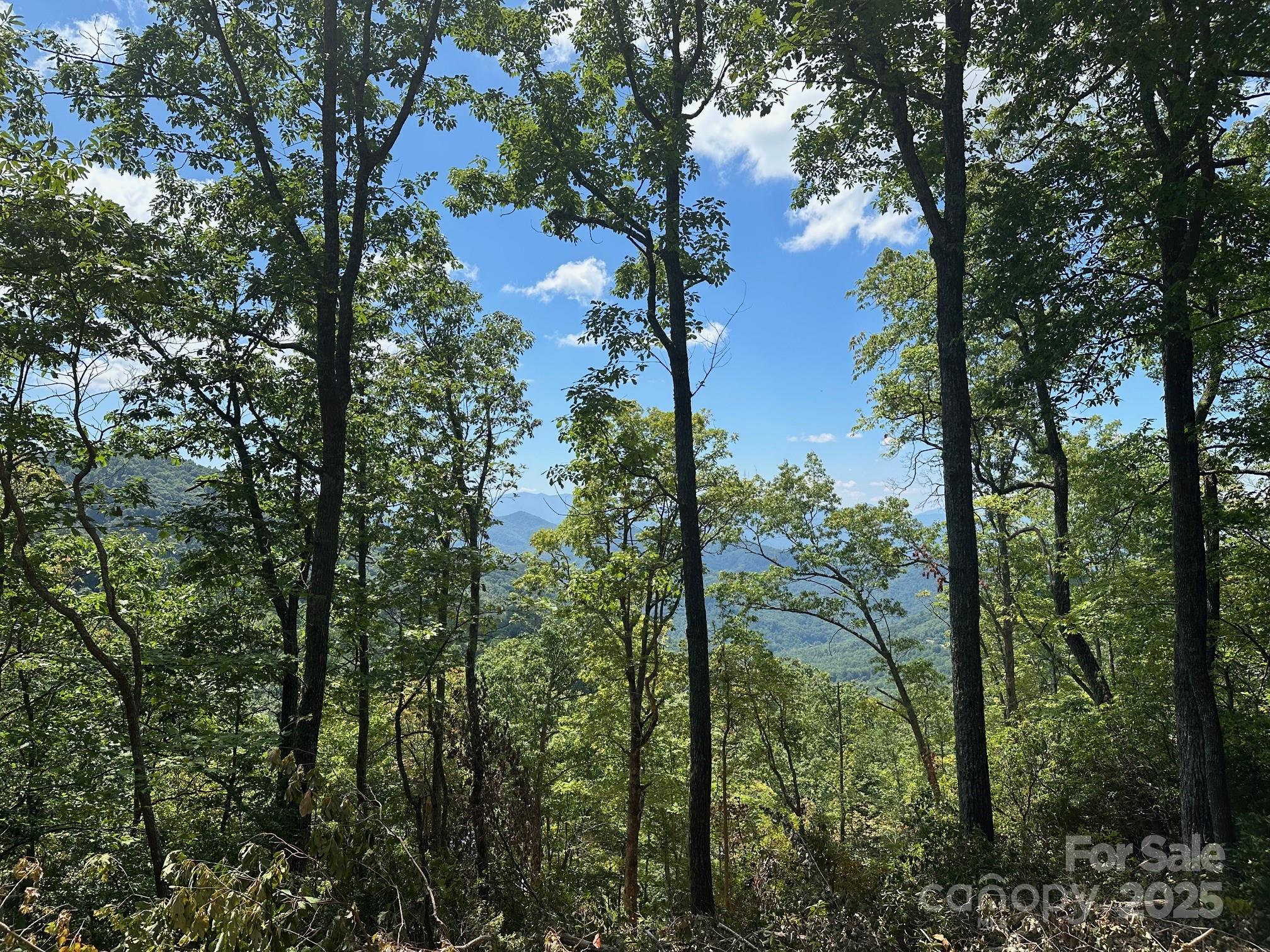 00 Falls View Drive 70