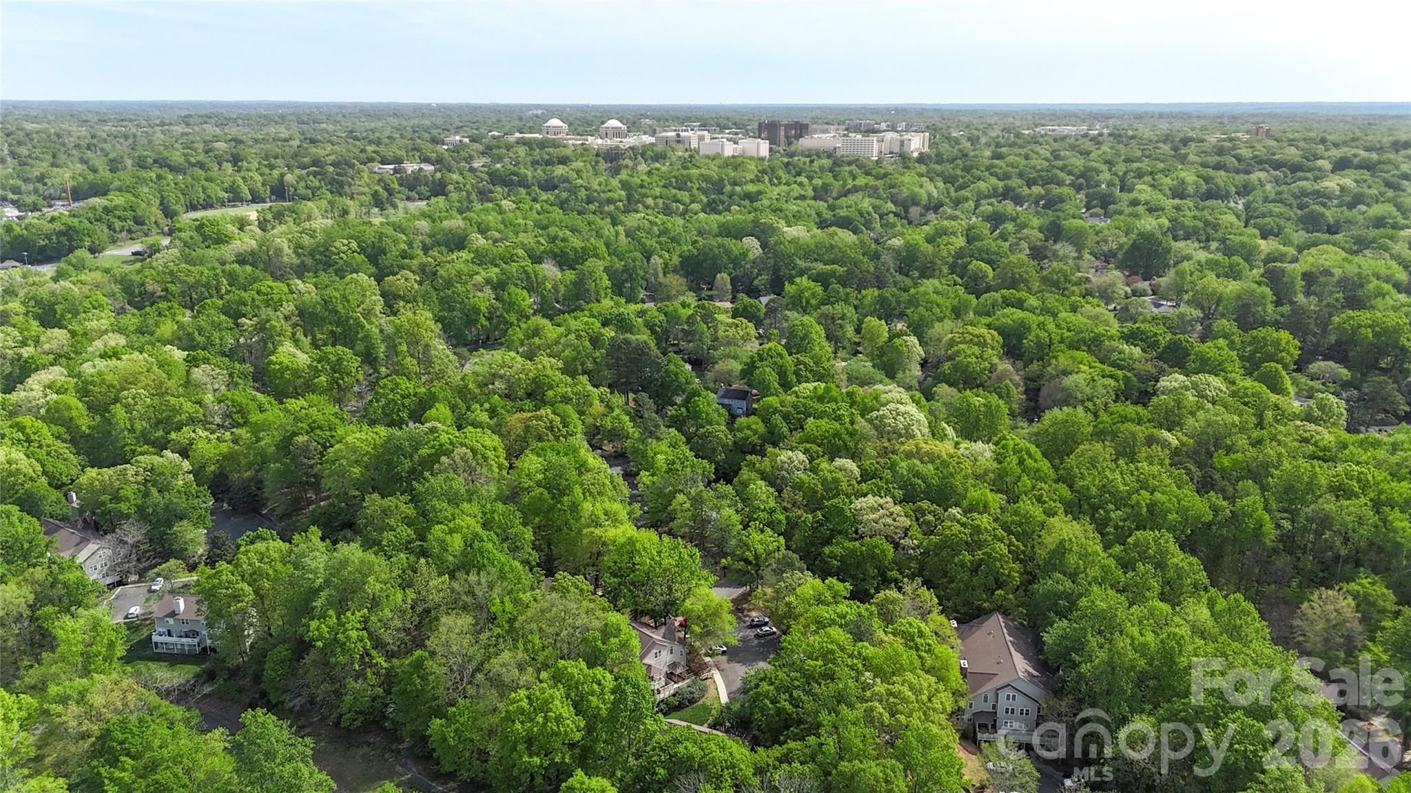 Bennington Woods - Residential