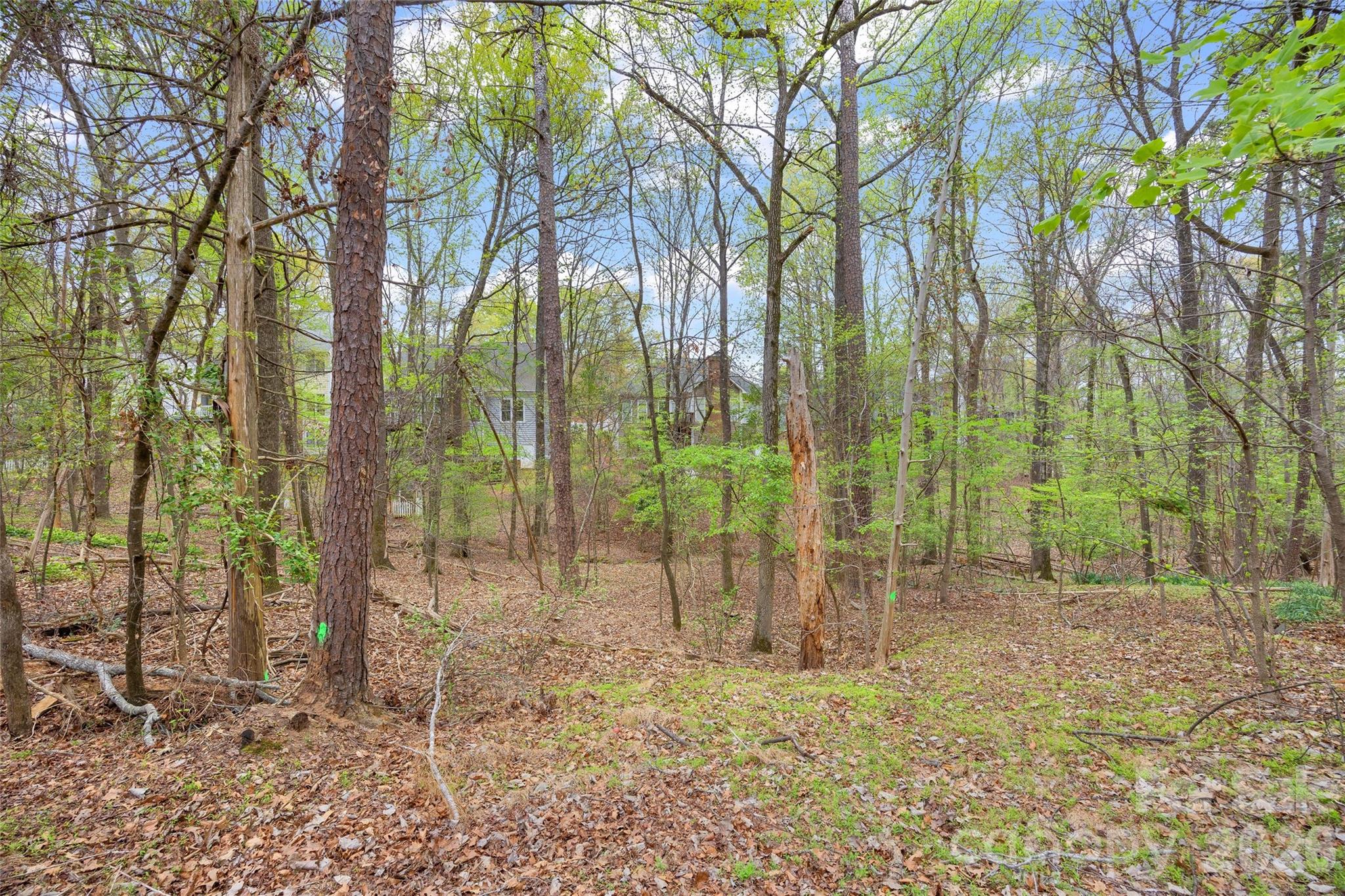 Bishops Ridge - Residential