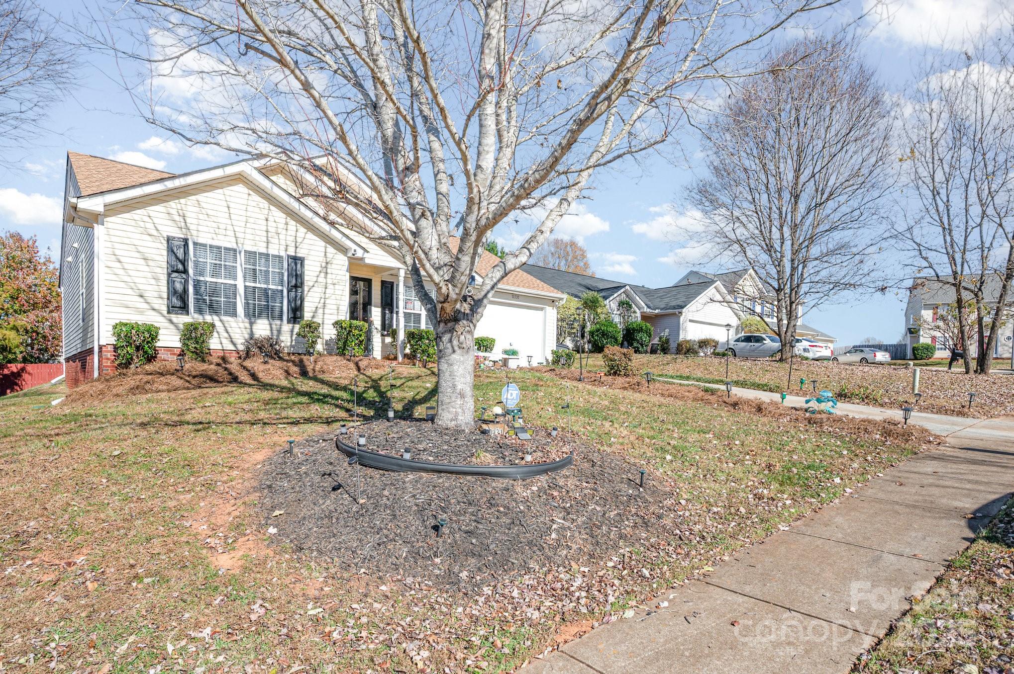 11131 Palestrina Road