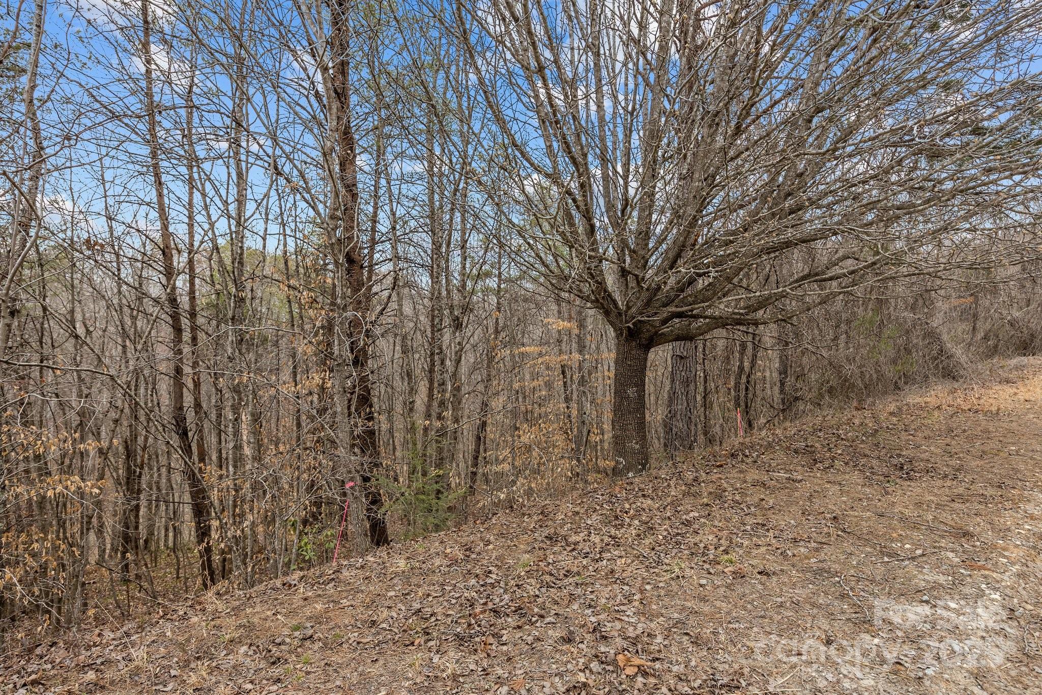 Lot 102 Glenhaven Drive