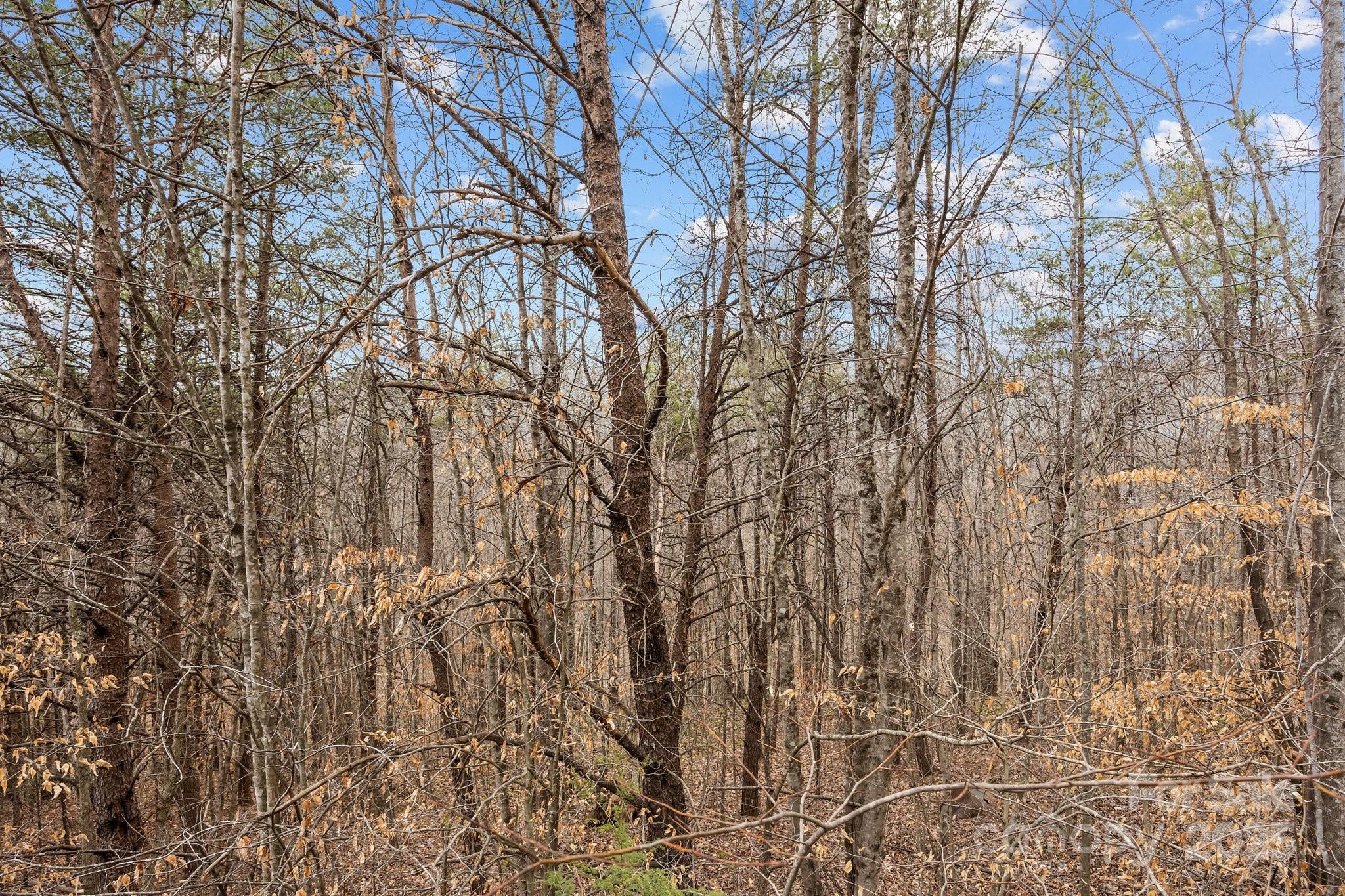 Lot 102 Glenhaven Drive