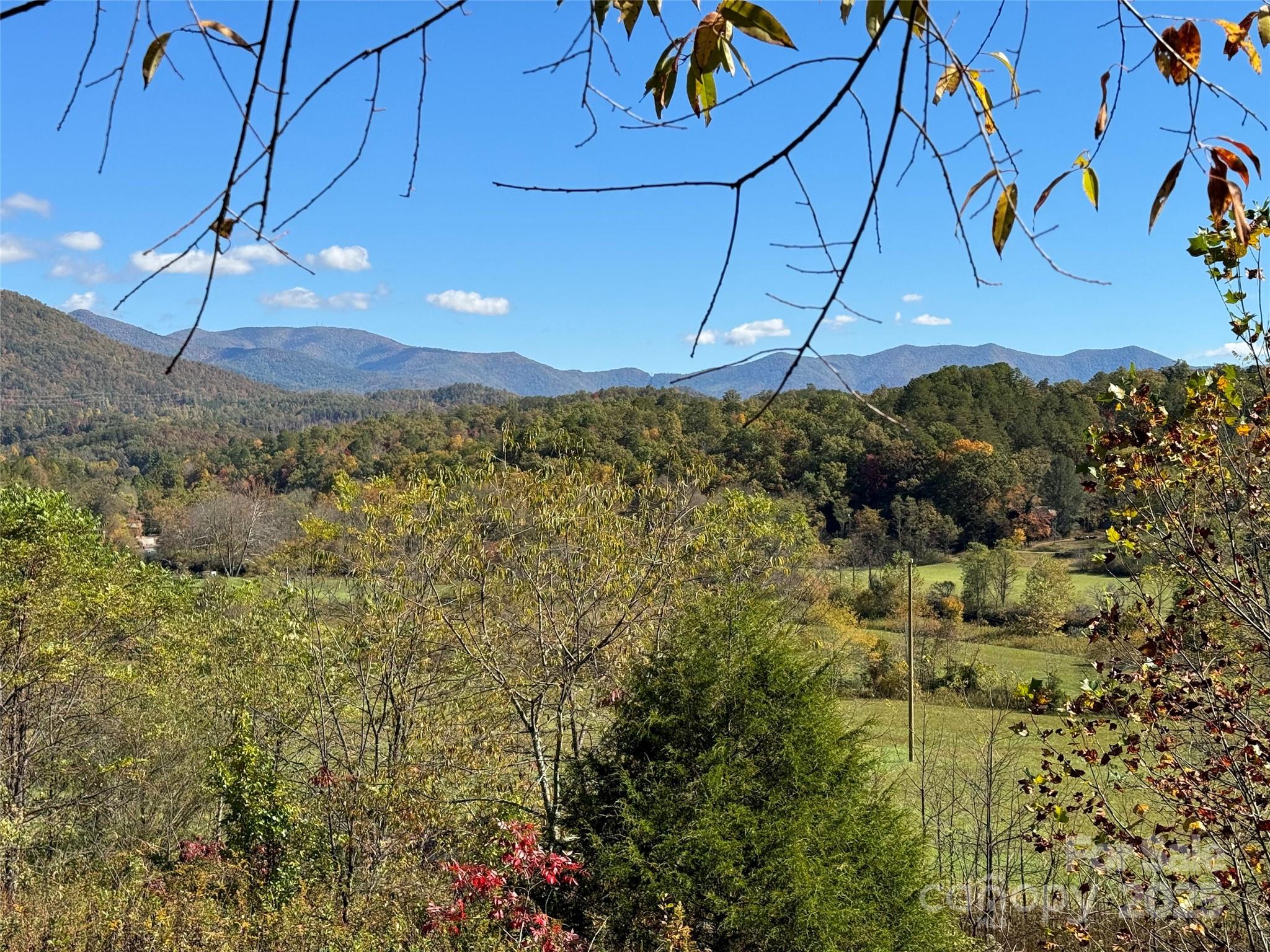 4136 Rose Creek Road