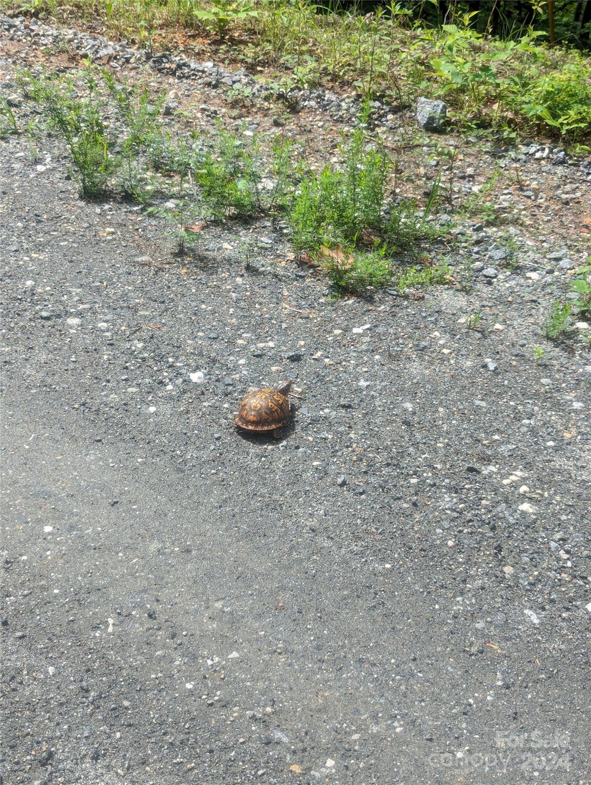 Riverbend Highlands - Land